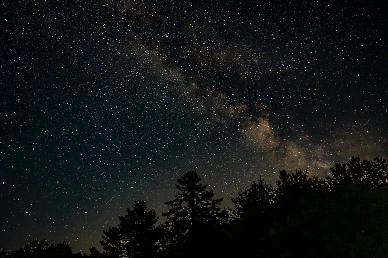 LindaDB_NightTime AUG23 adk mw2-3 Large.jpeg