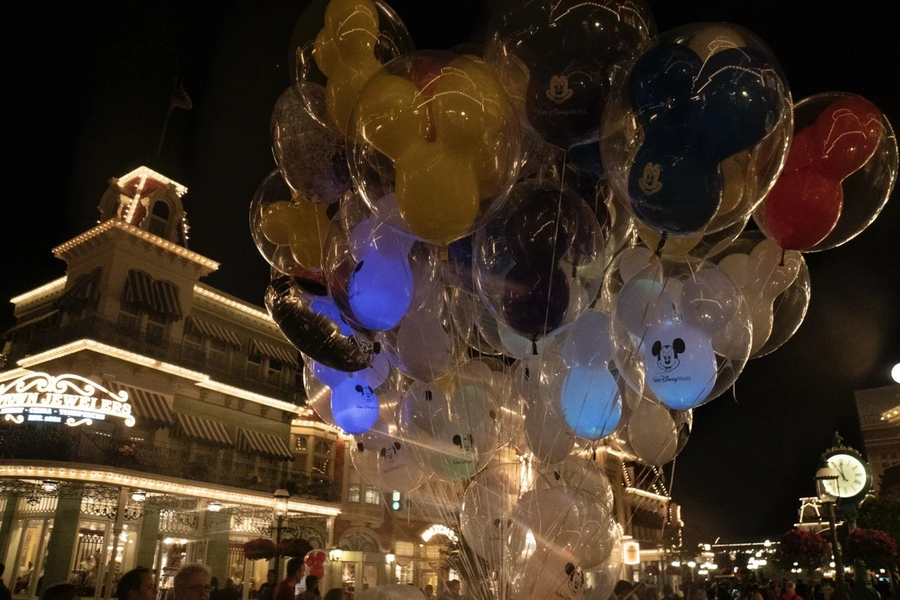 walt disney at night-08235 Large.jpeg
