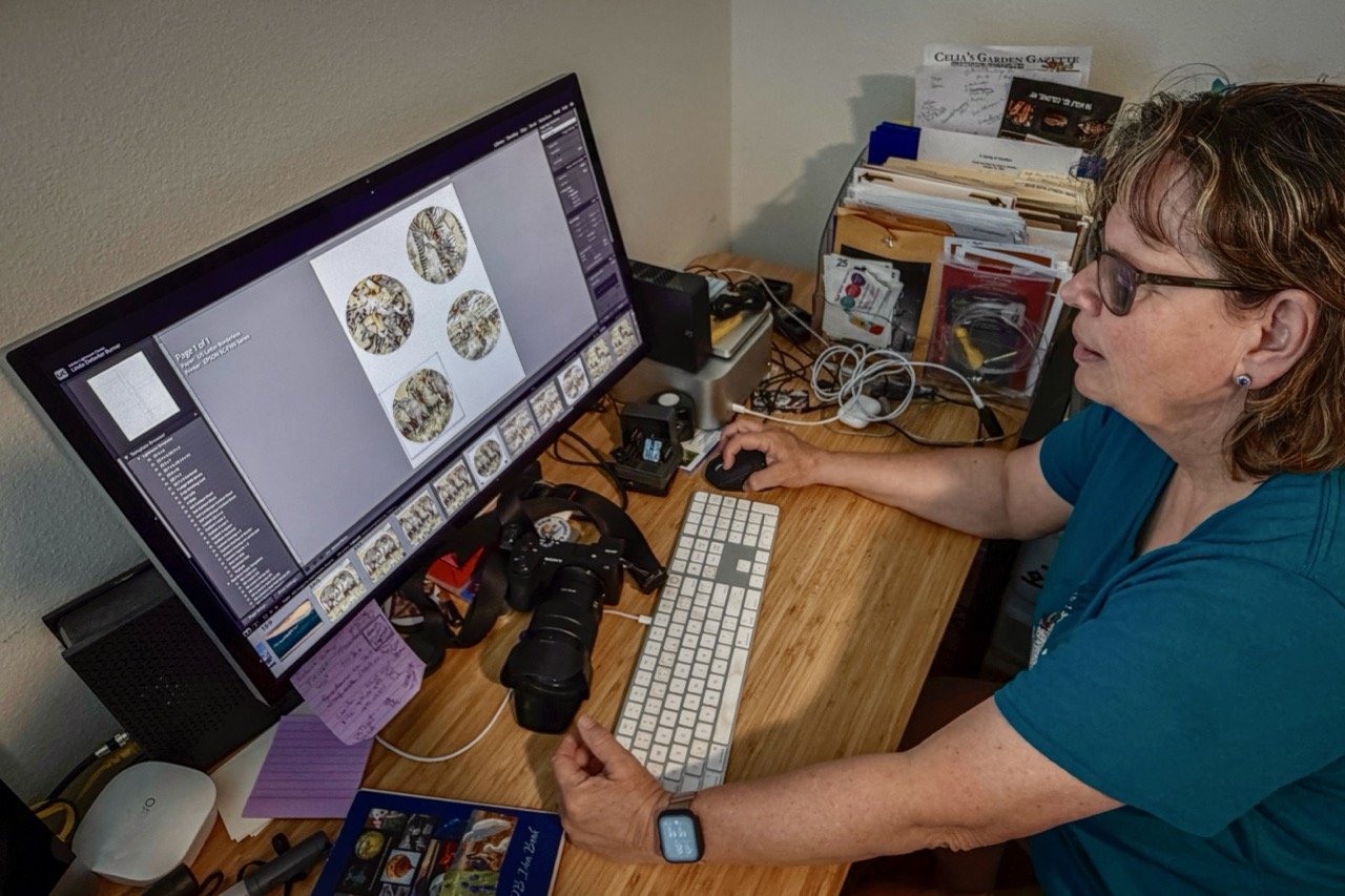 Linda Detwiler Burner editing artwork and photography designs for custom creative products.