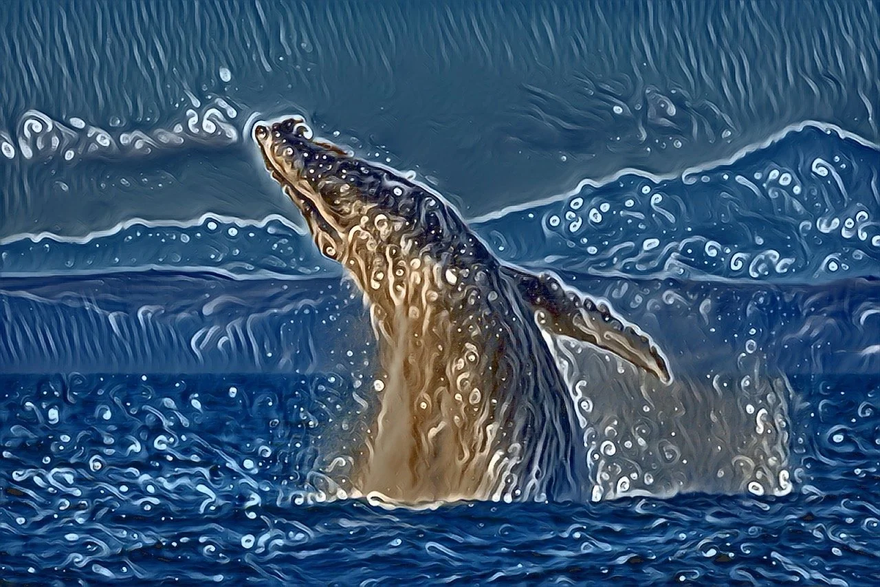 2025 0916 whale breth artisitic Large.jpeg
