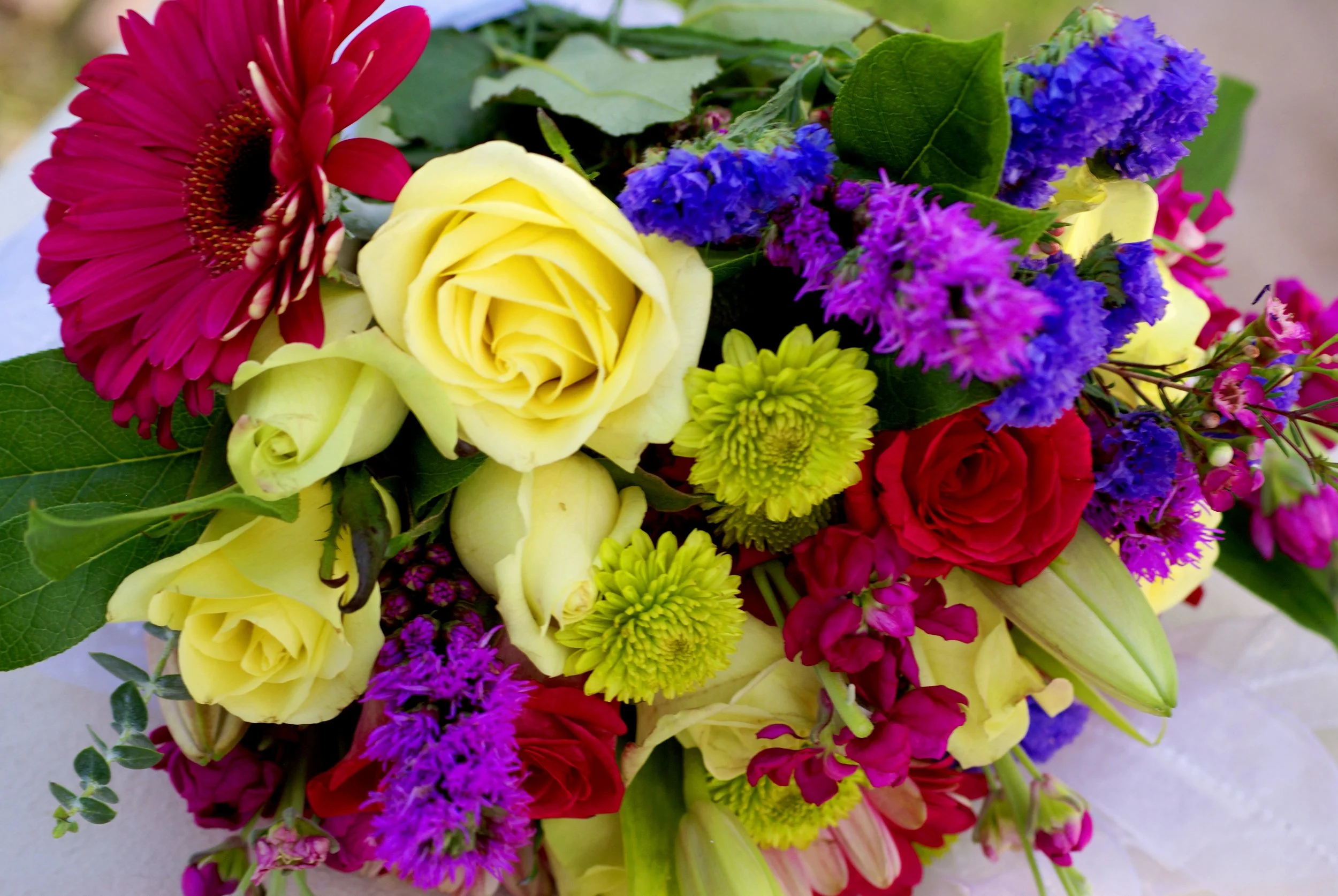 DSC01710.jpg