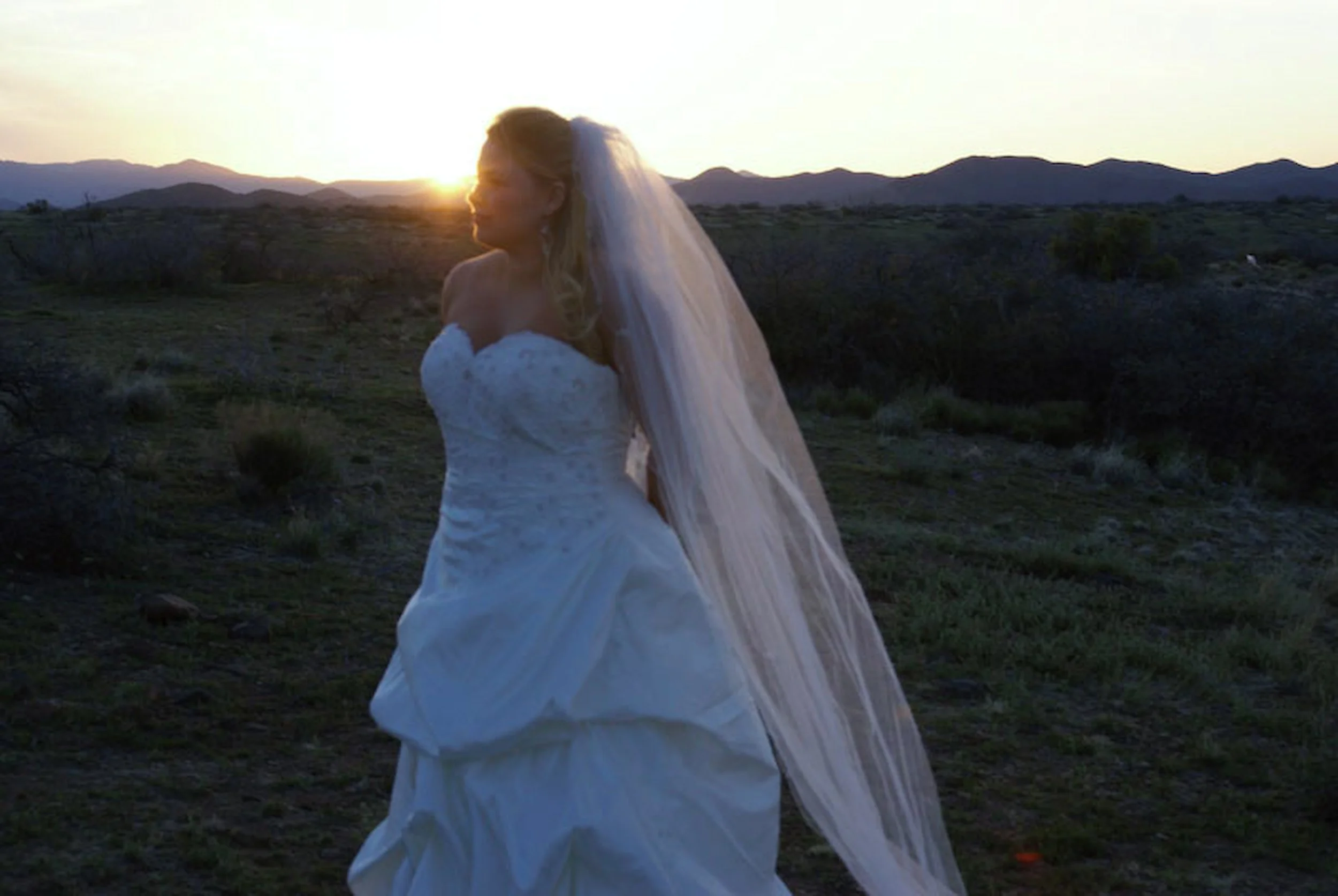 web82.jpg