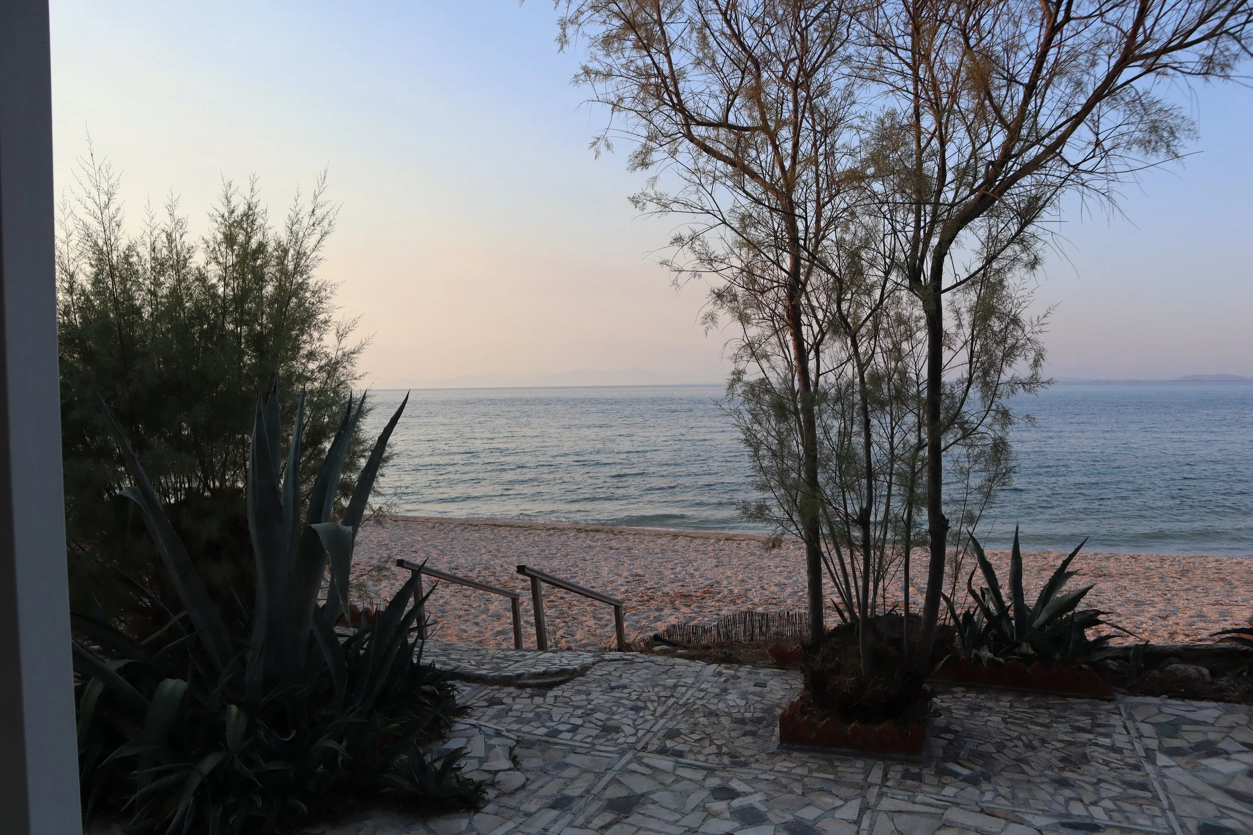 View of a beach with calm waters, sandy shore, and a few trees in foreground, seen from a shaded area with mosaic stone flooring.