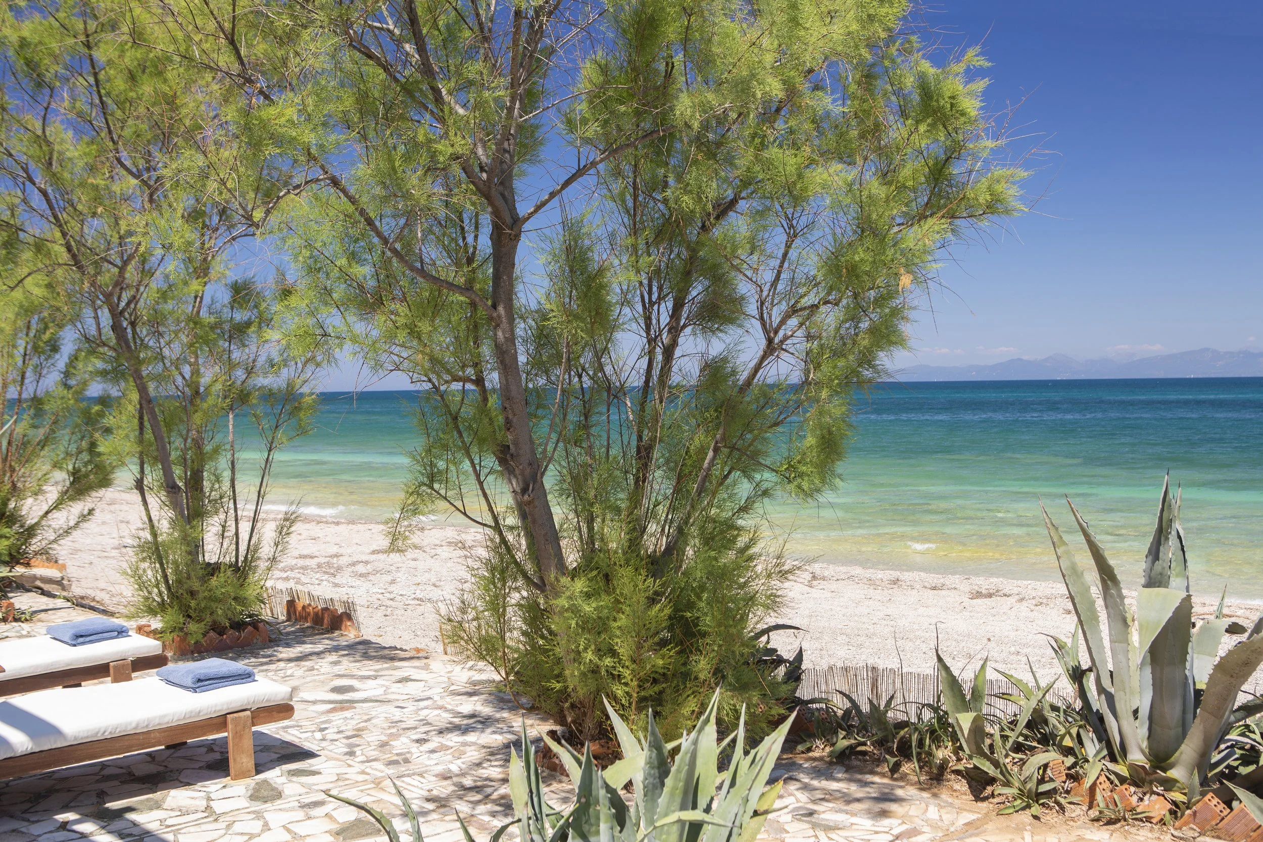 Beach scene with a tree in the foreground, lounge chairs with towels, sandy shore, ocean, and mountains in the background.