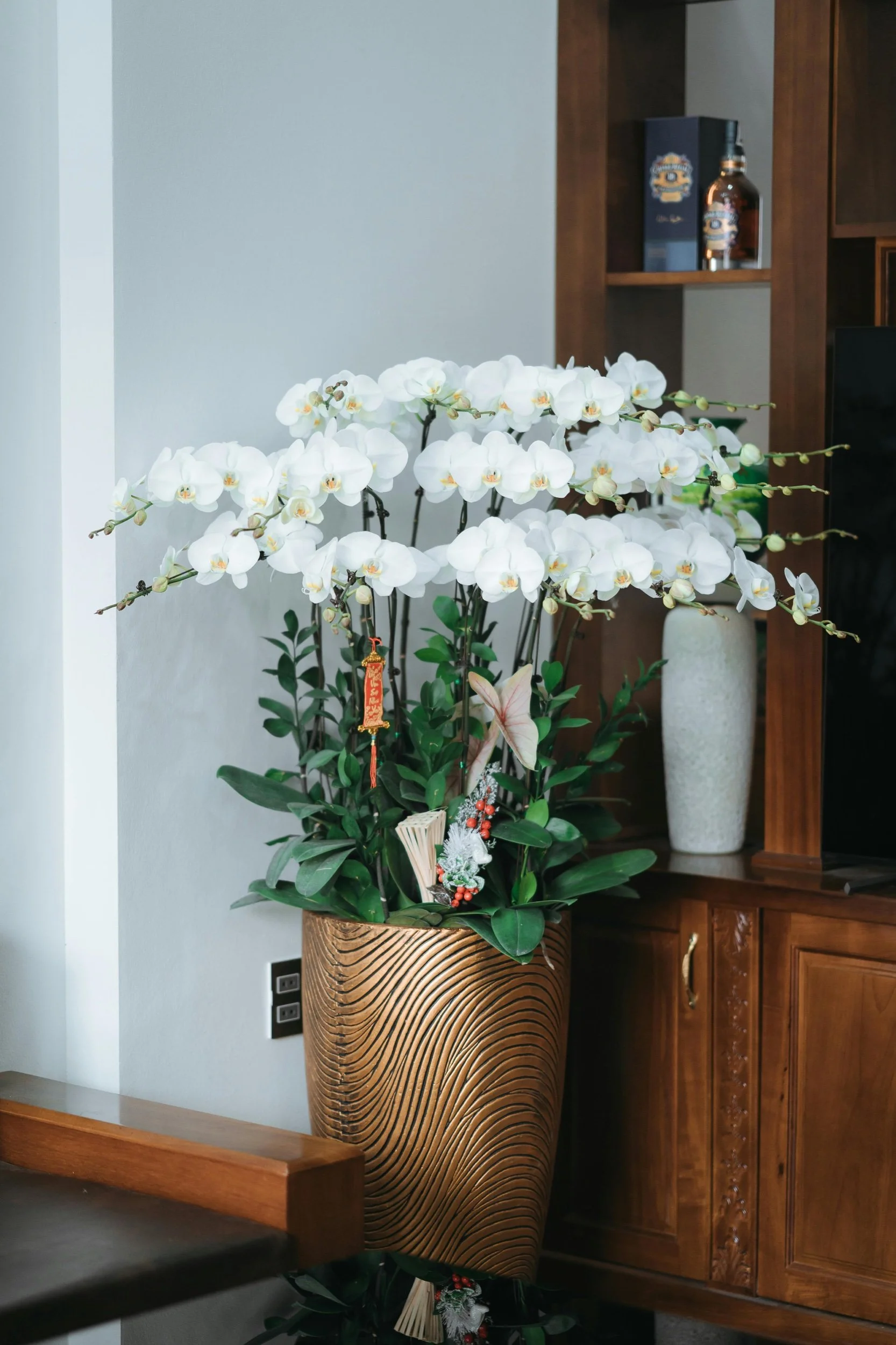 white orchid lobby plant arrangement subscription Clearwater Beach
