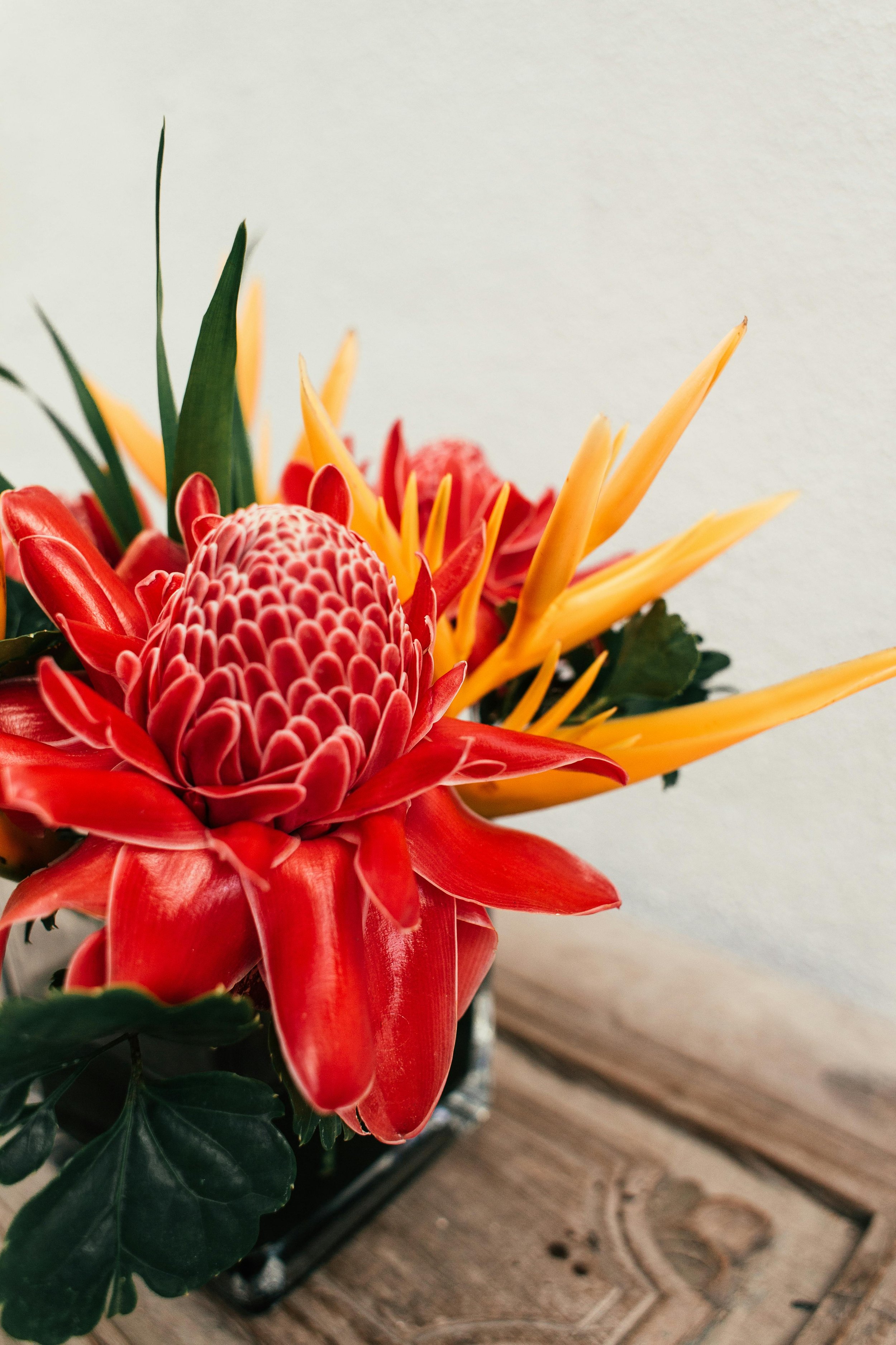 Signature Tropical Designer's Choice Arrangement | Coastal Resort Style