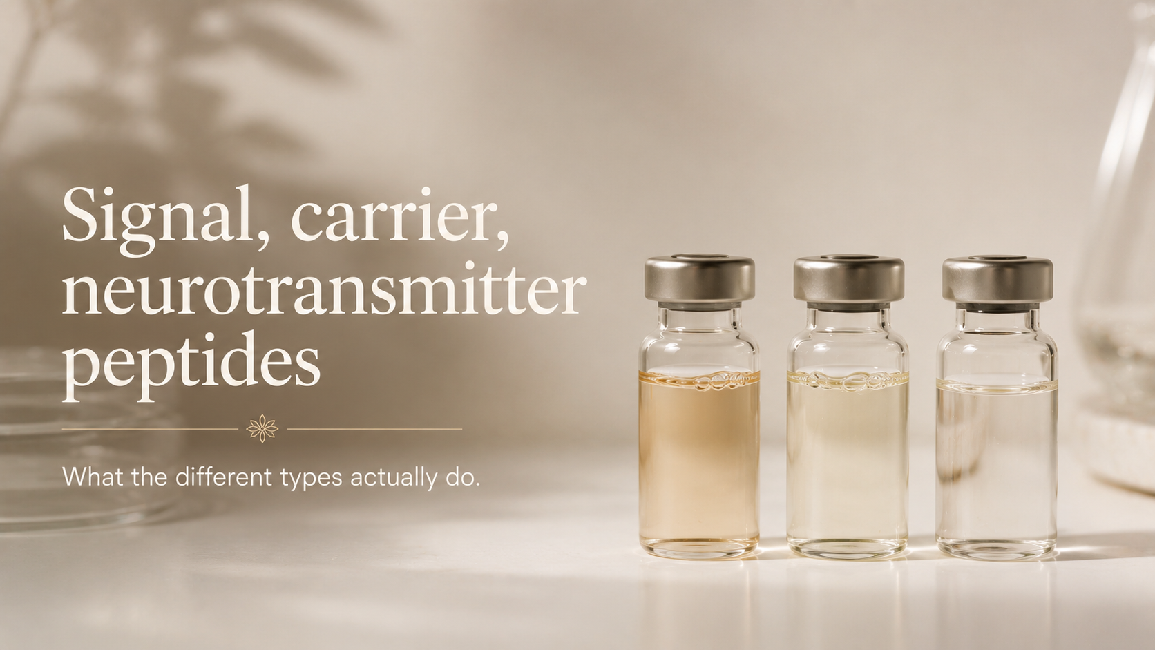 Signal Peptides, Carrier Peptides, Neurotransmitter Peptides: What the Different Types Actually Do