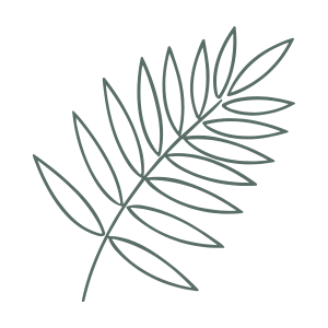 A line drawing of a fern leaf.