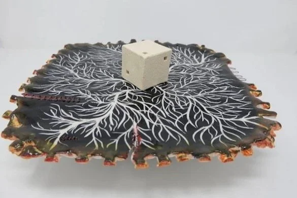 Confusion on a Plate
