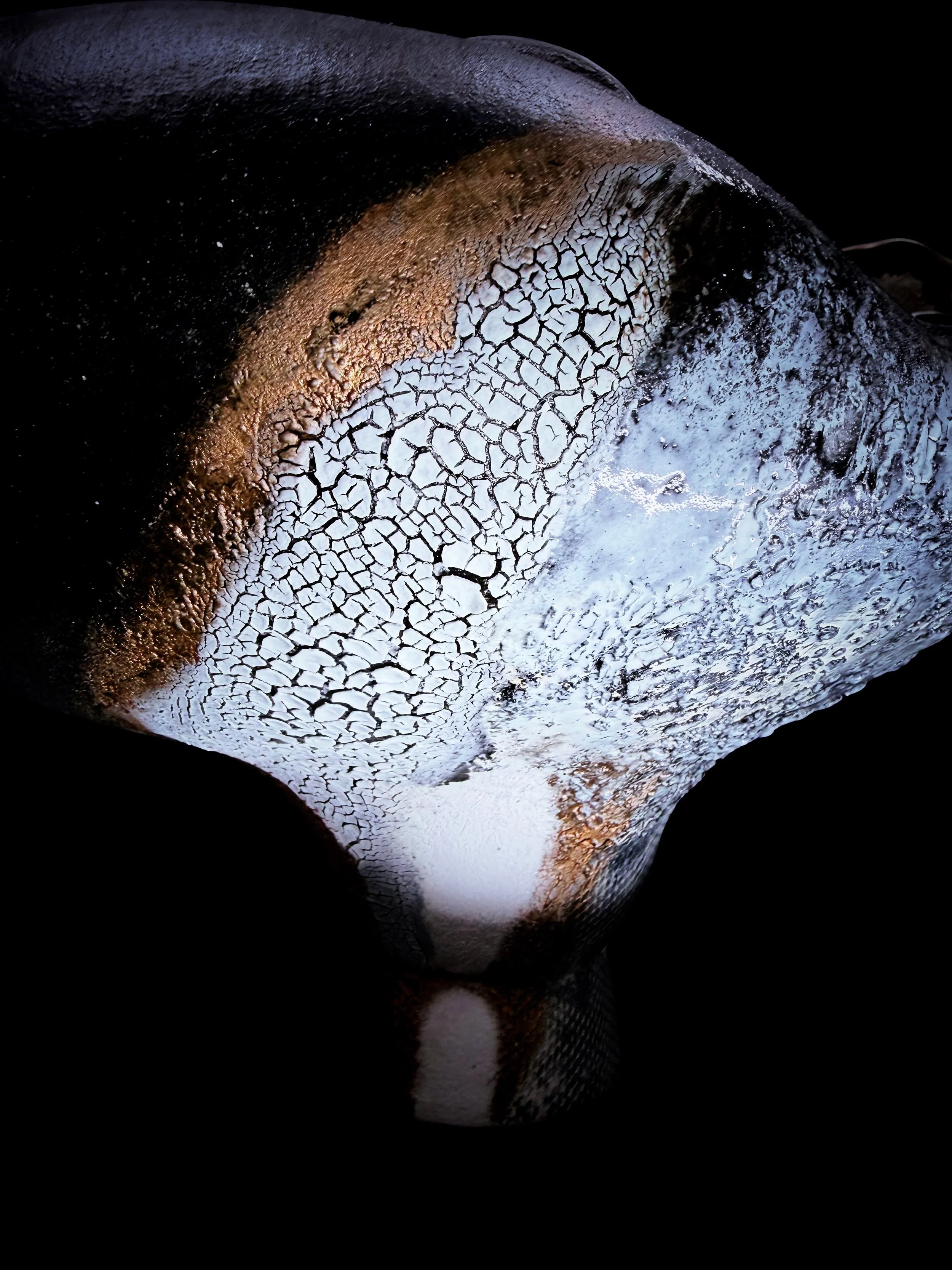 Burnished darkness catching light, white cracking open like dry earth.