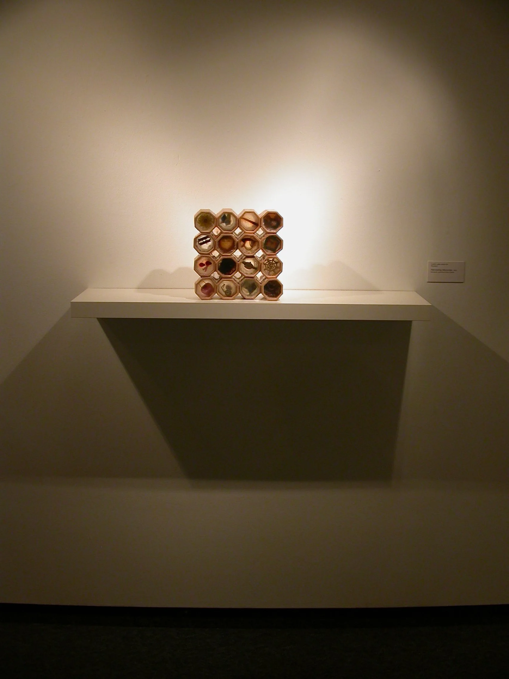 Harvesting Memories (Installation)
An invitation to look more closely at what is held—both visible and hidden.