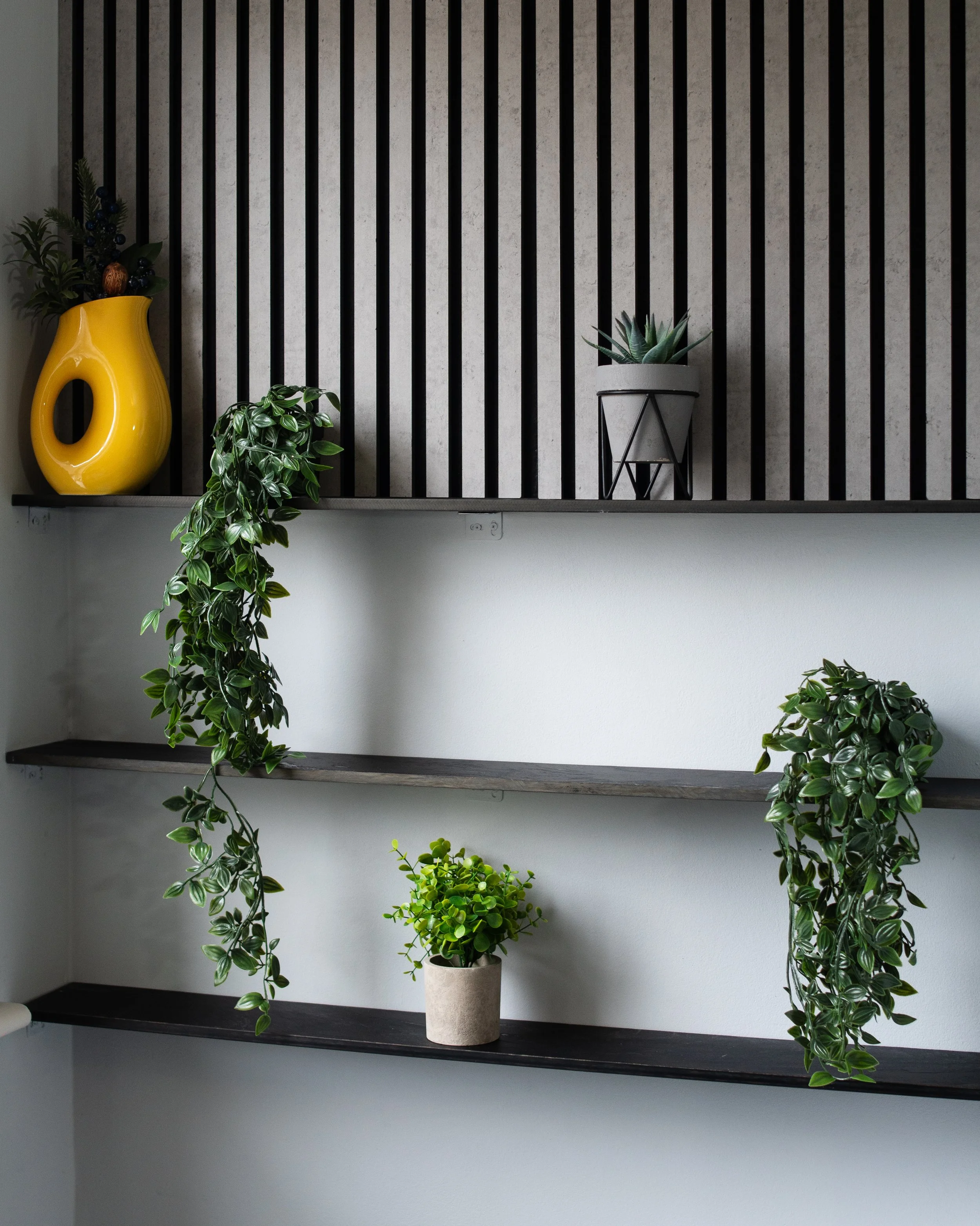 Black wall with vertical wooden slats, yellow vase with greenery, potted succulent, green leafy plants on shelves.