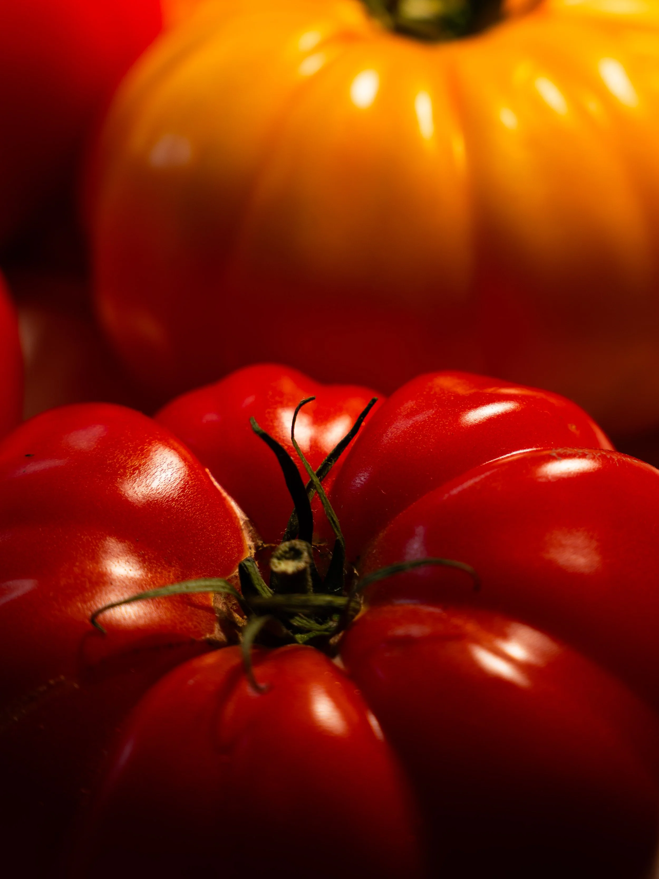 Isle of White Tomatoes