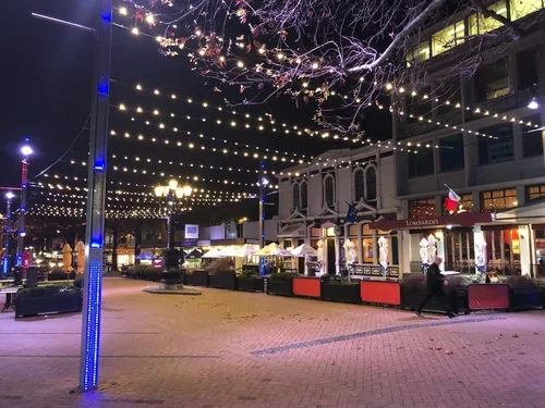 Lights.webp