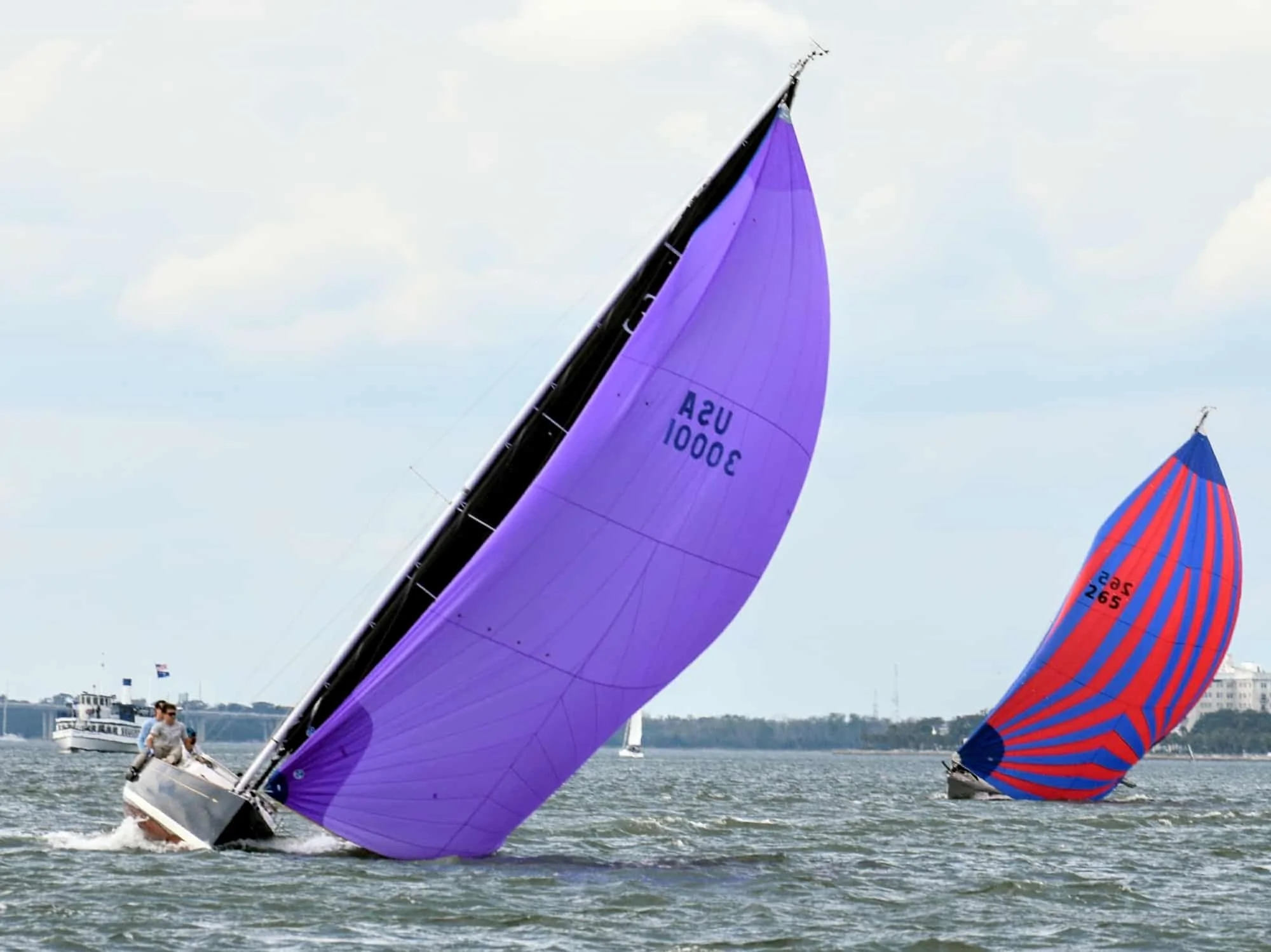 DSC_1480_3.jpg