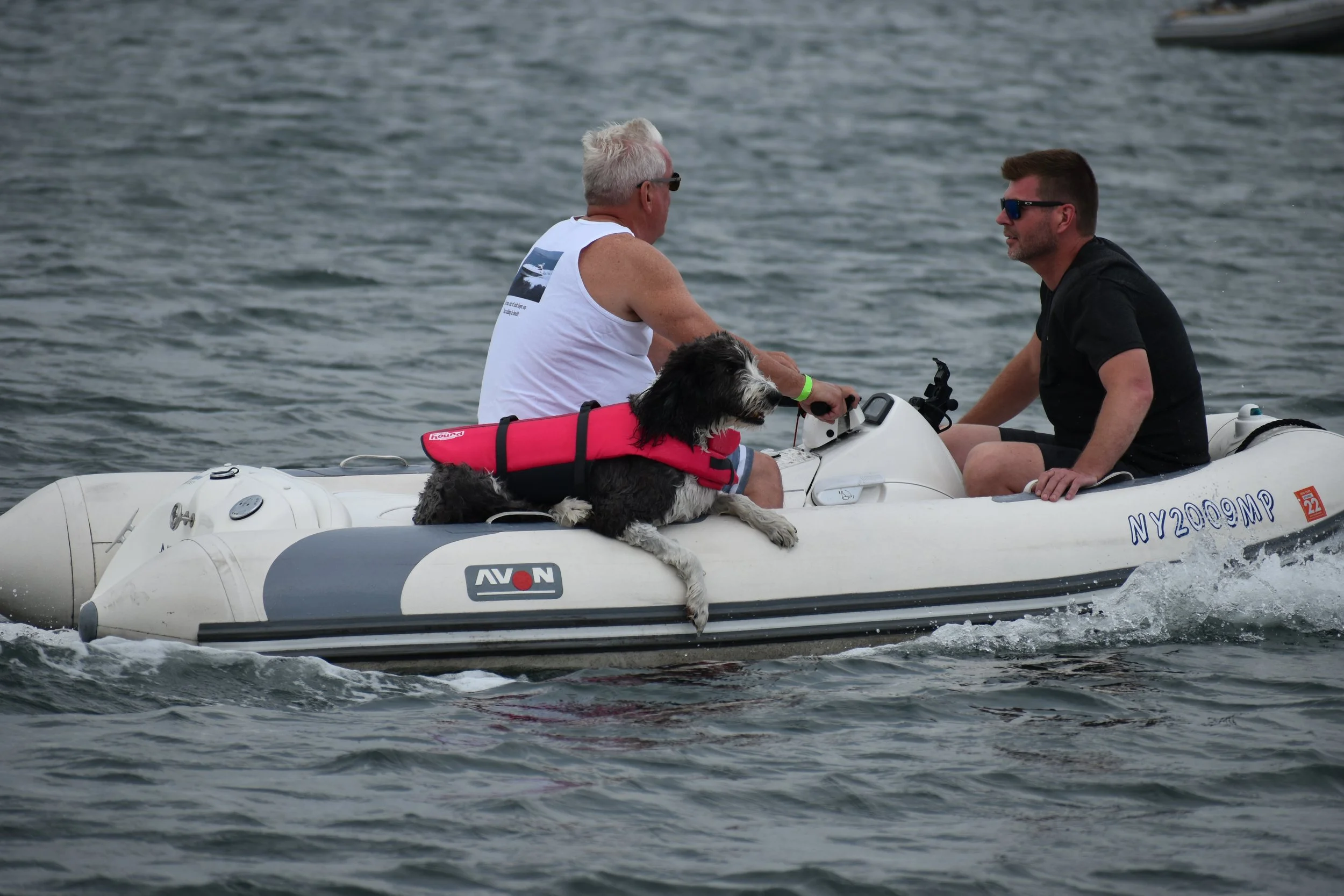 DSC_0982.JPG