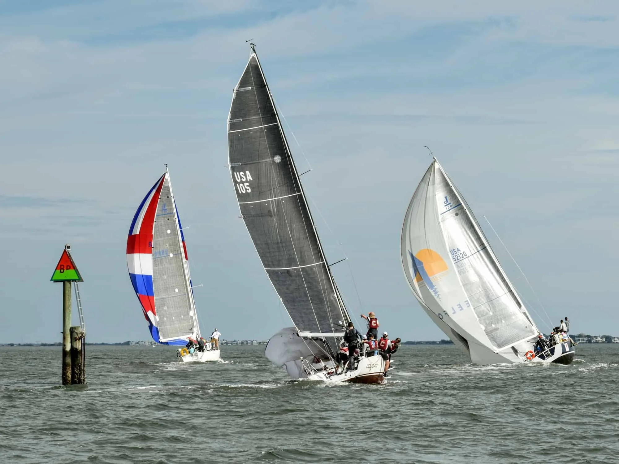 DSC_1263_2.jpg