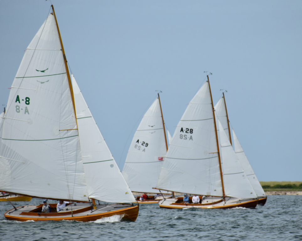 DSC_0037(1).png