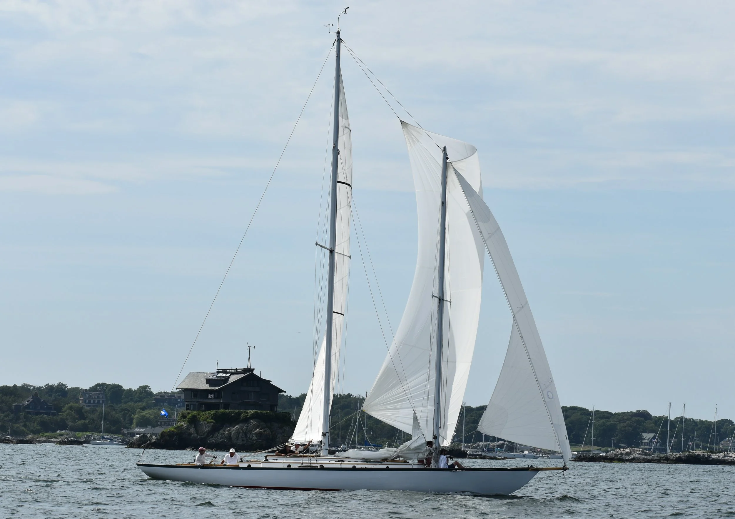 fin68.jpg