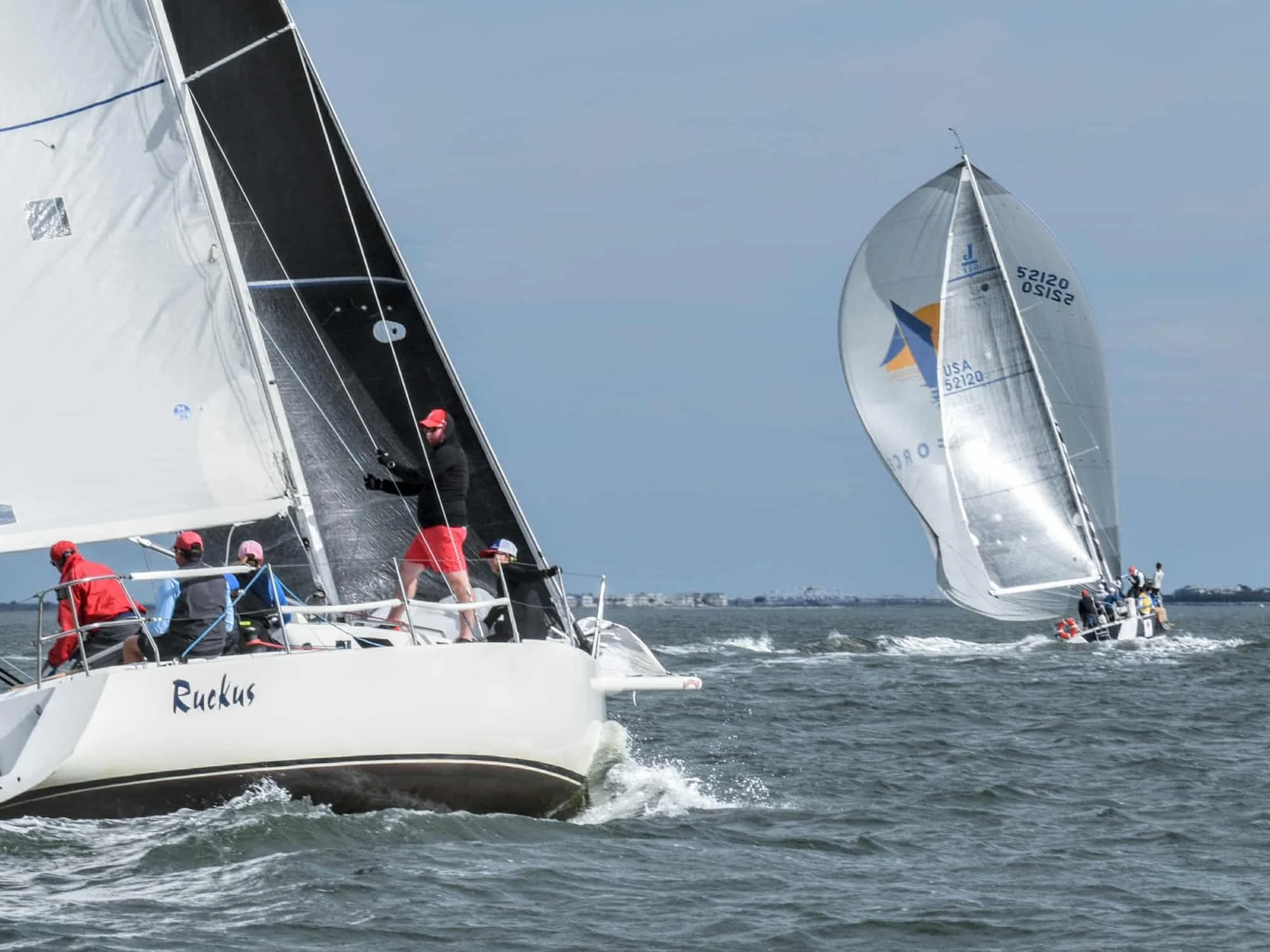 DSC_1274_2.jpg