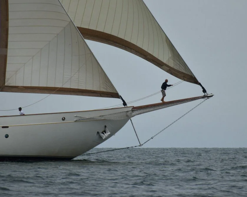 DSC_0105(1) - Copy.jpg