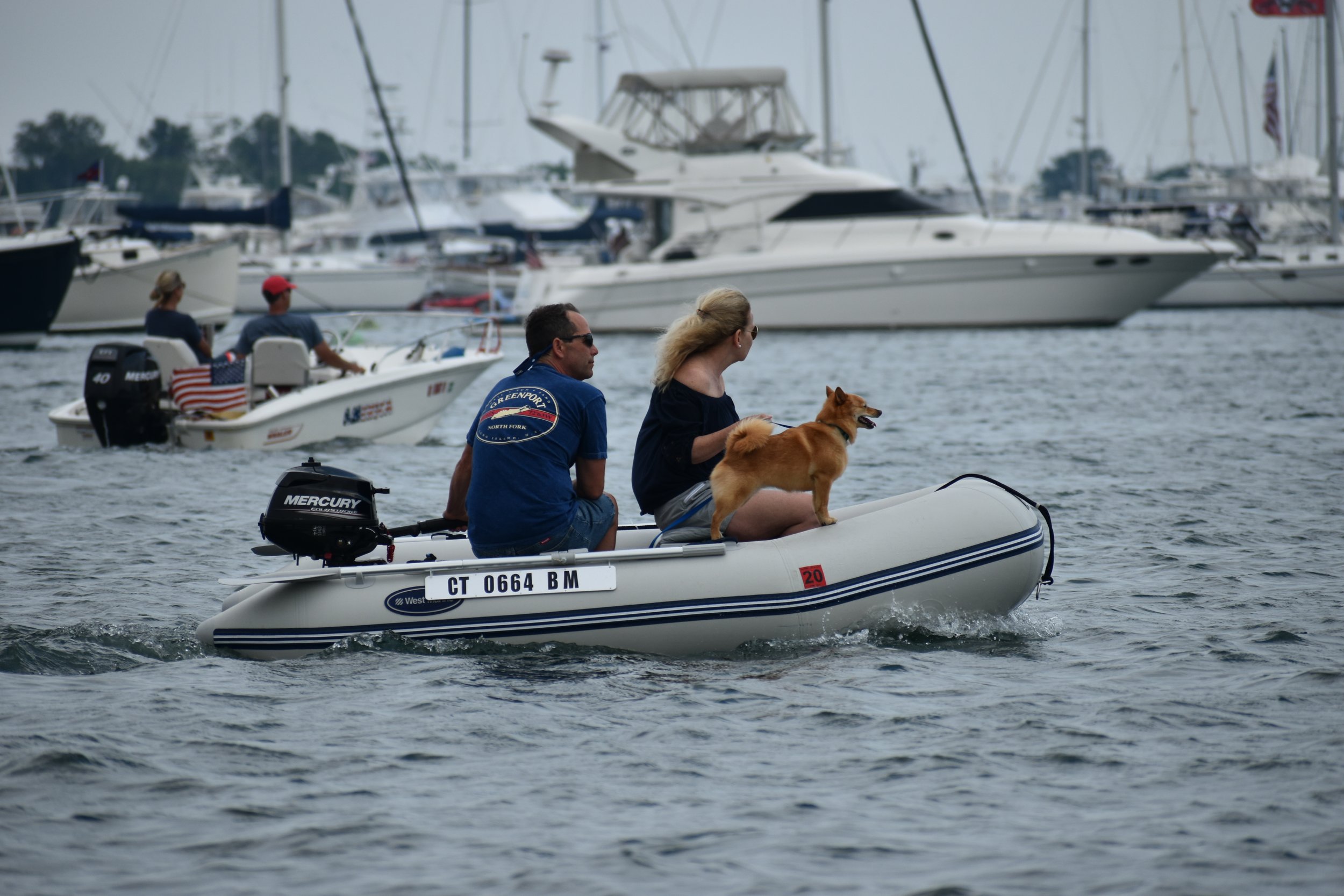 DSC_0966.JPG
