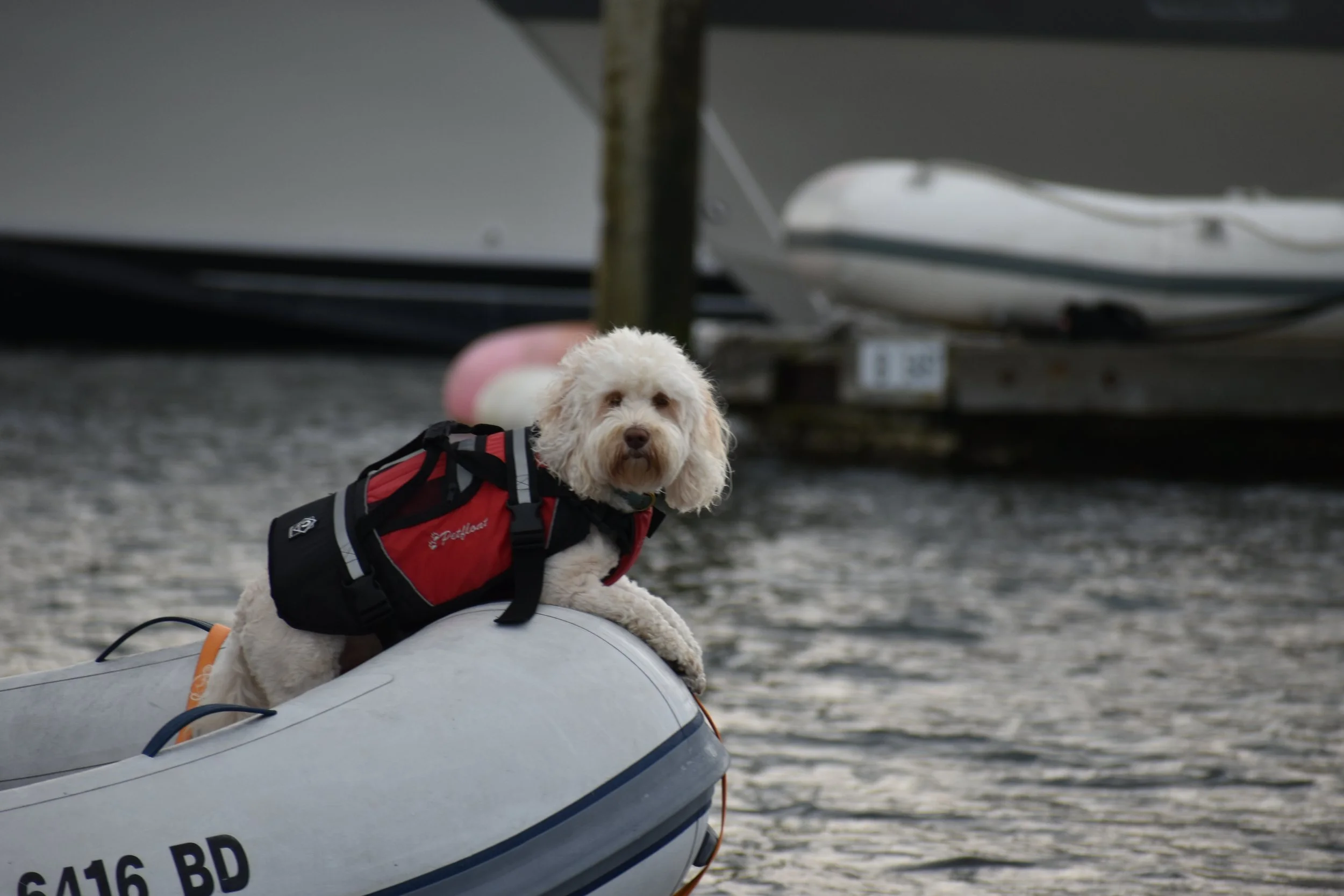 DSC_0721.JPG