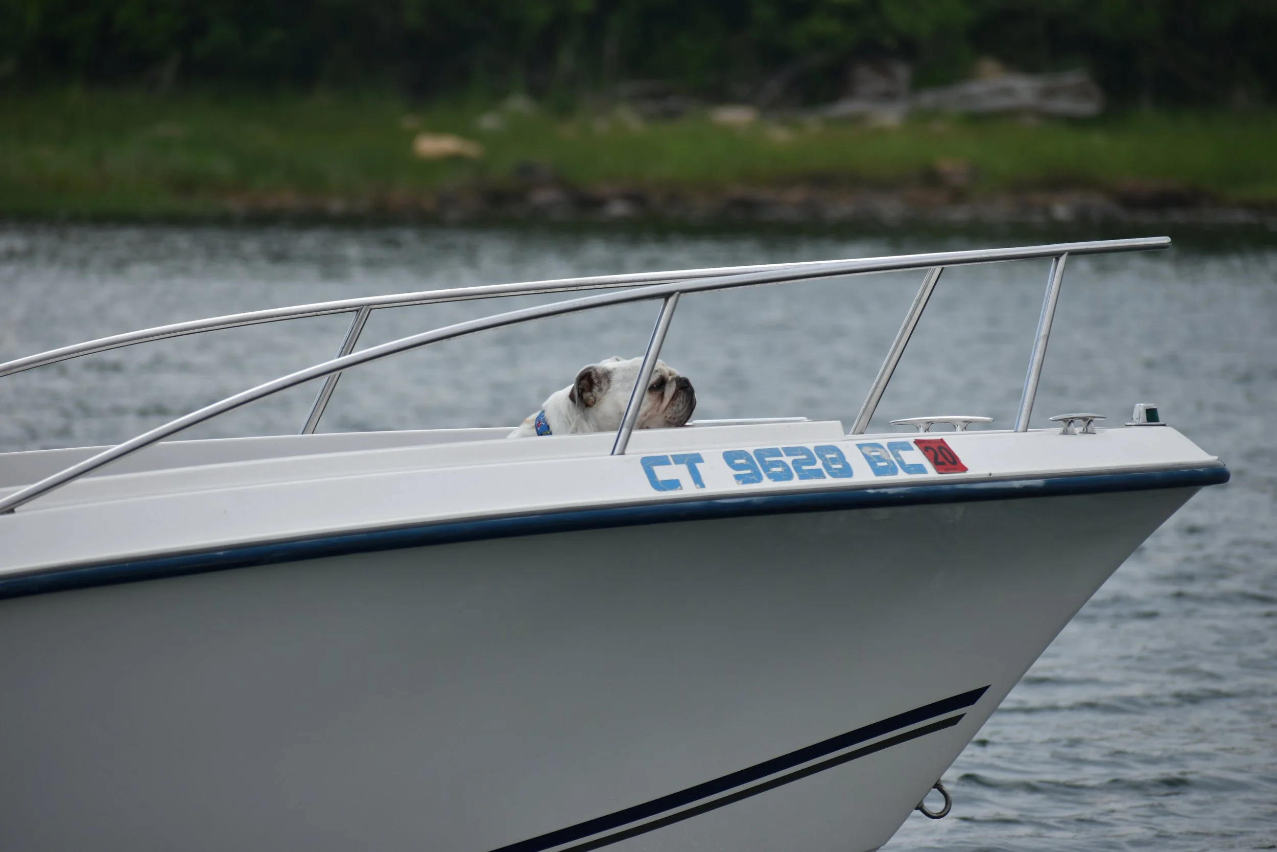 DSC_0953.JPG