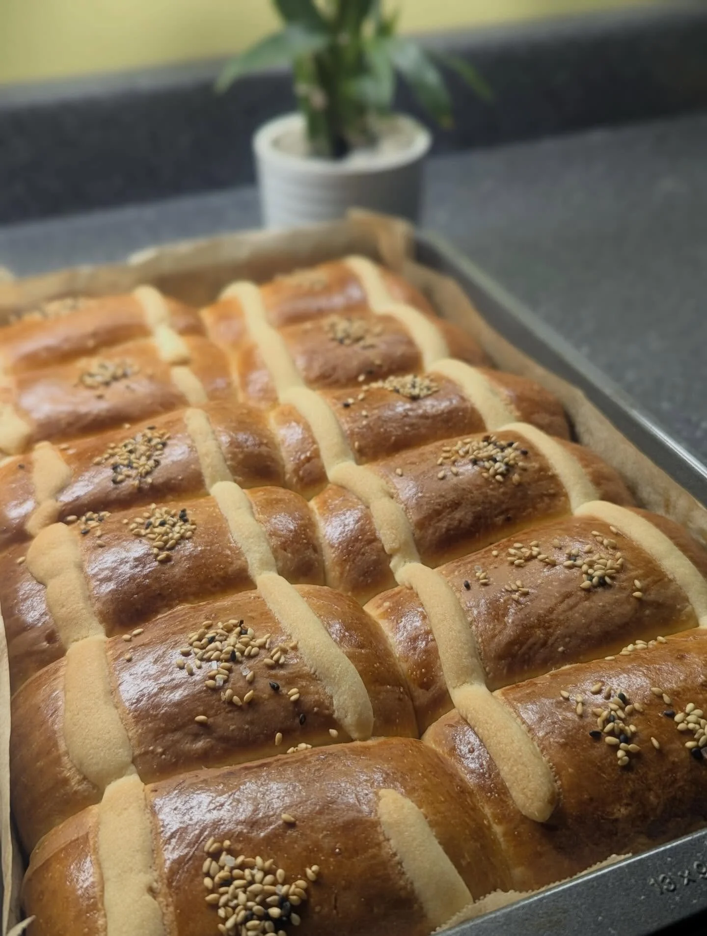 Cocktail Bun - dozen