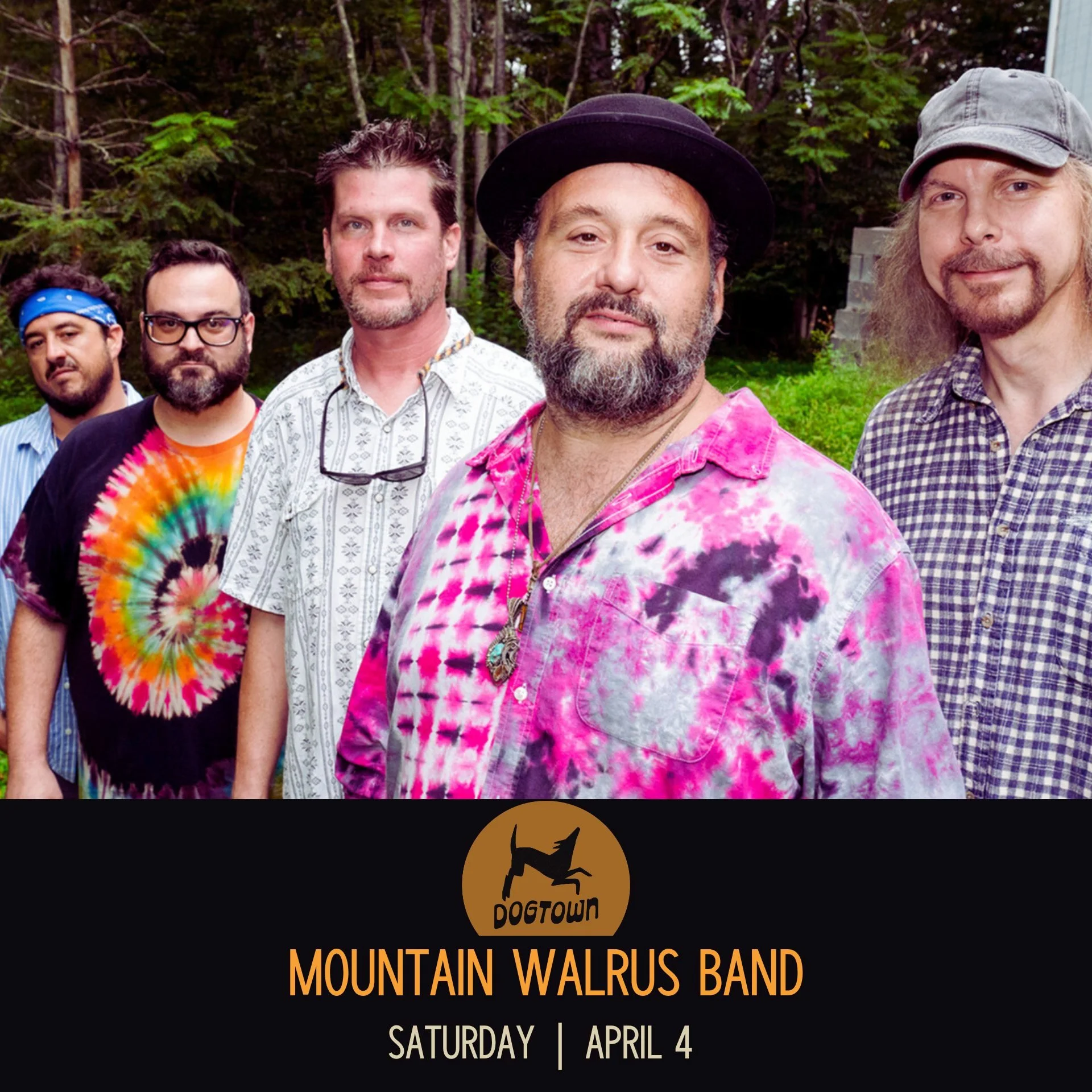 Mountain Walrus