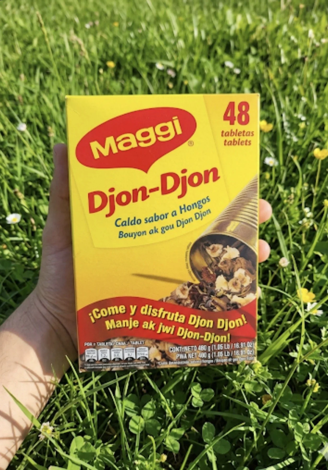 Magi Djon djon