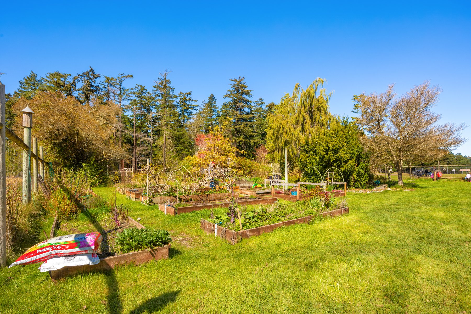 Community gardens
