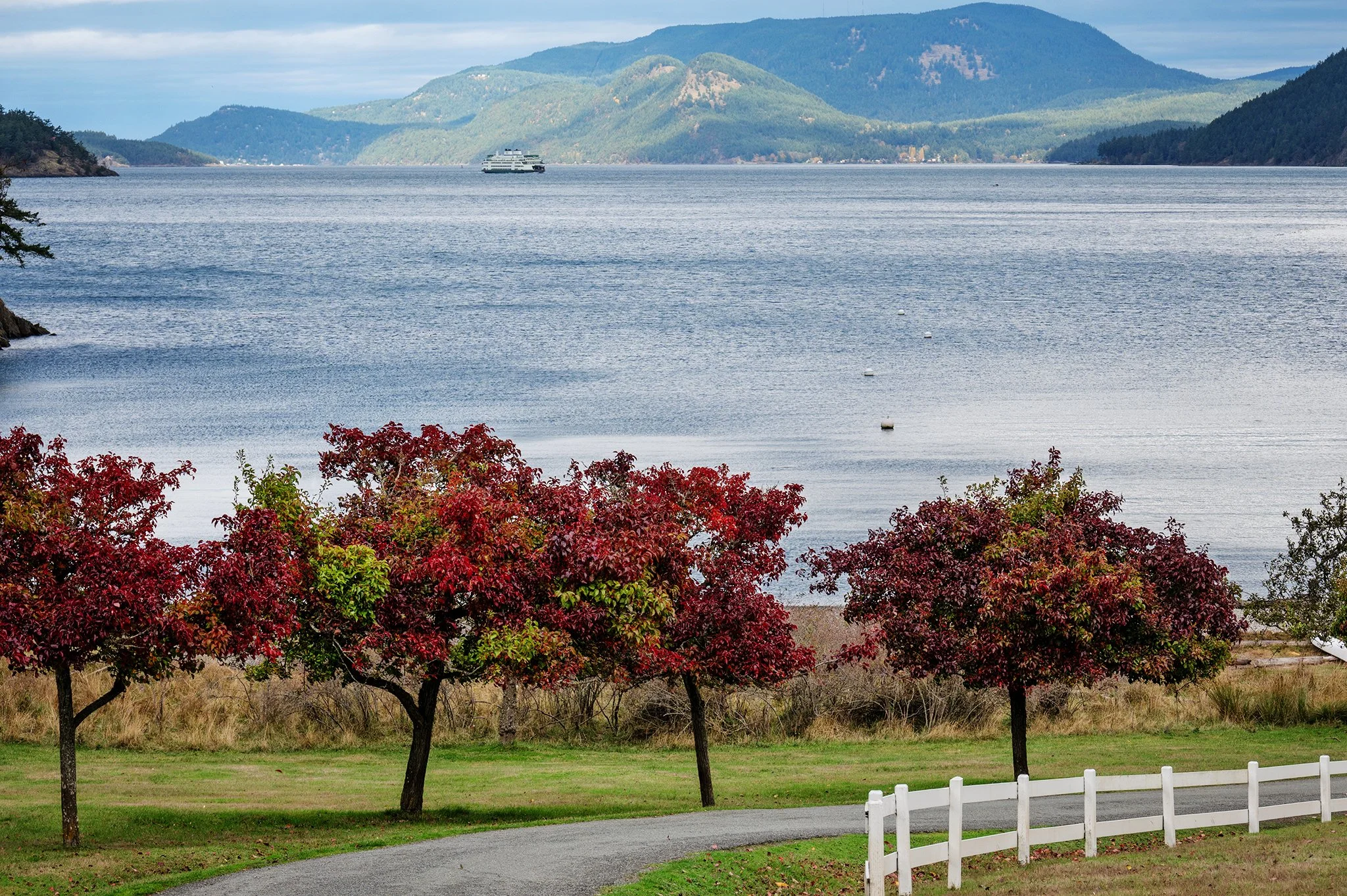 A scenic view of a large body of water with a boat and mountainous landscape in the background. In the foreground, there are red and green trees, a grass area, a gravel pathway, and a white wooden fence.