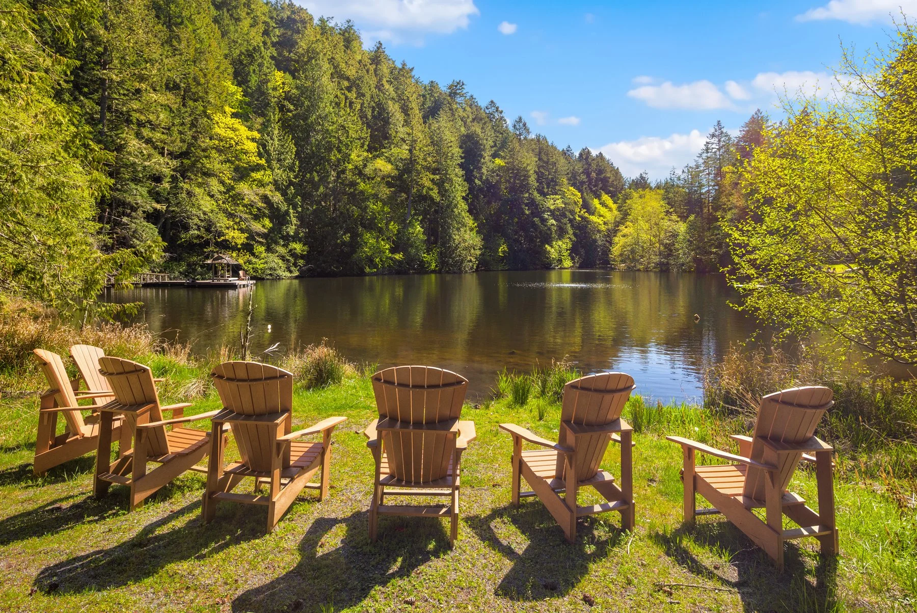 Private lake for swimming and fishing