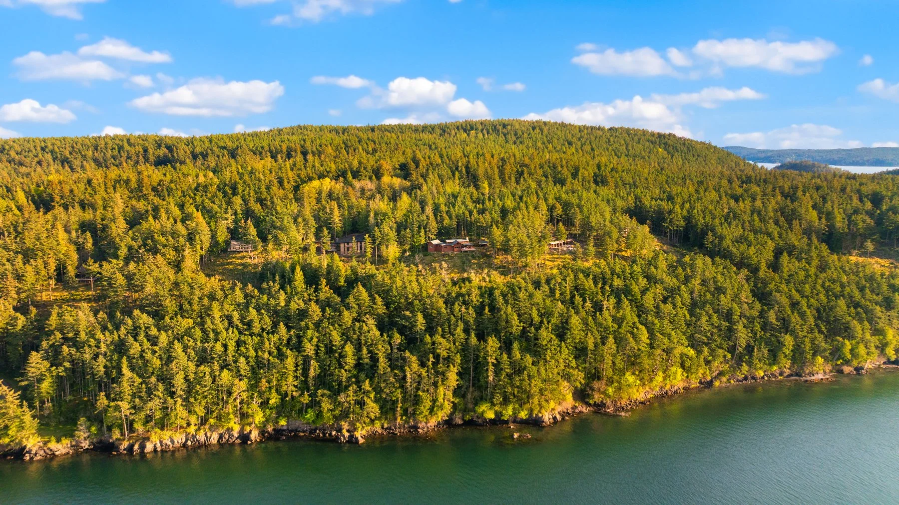 Aerial view of a forested hillside with houses, overlooking a body of water, under a blue sky with scattered clouds.