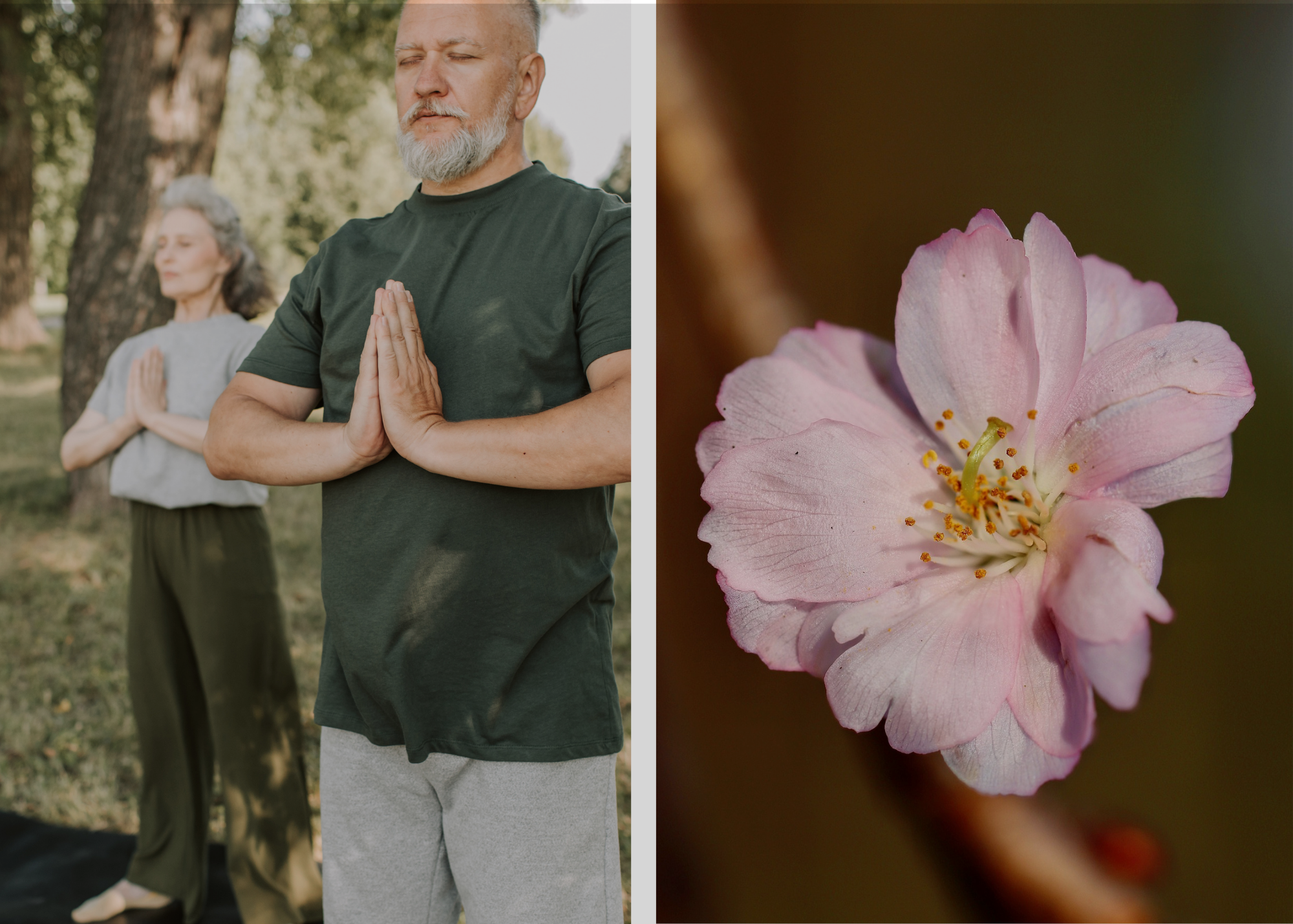 Side-by-side image of two people practicing yoga outdoors and a close-up of a pink flower with white petals and yellow stamens.