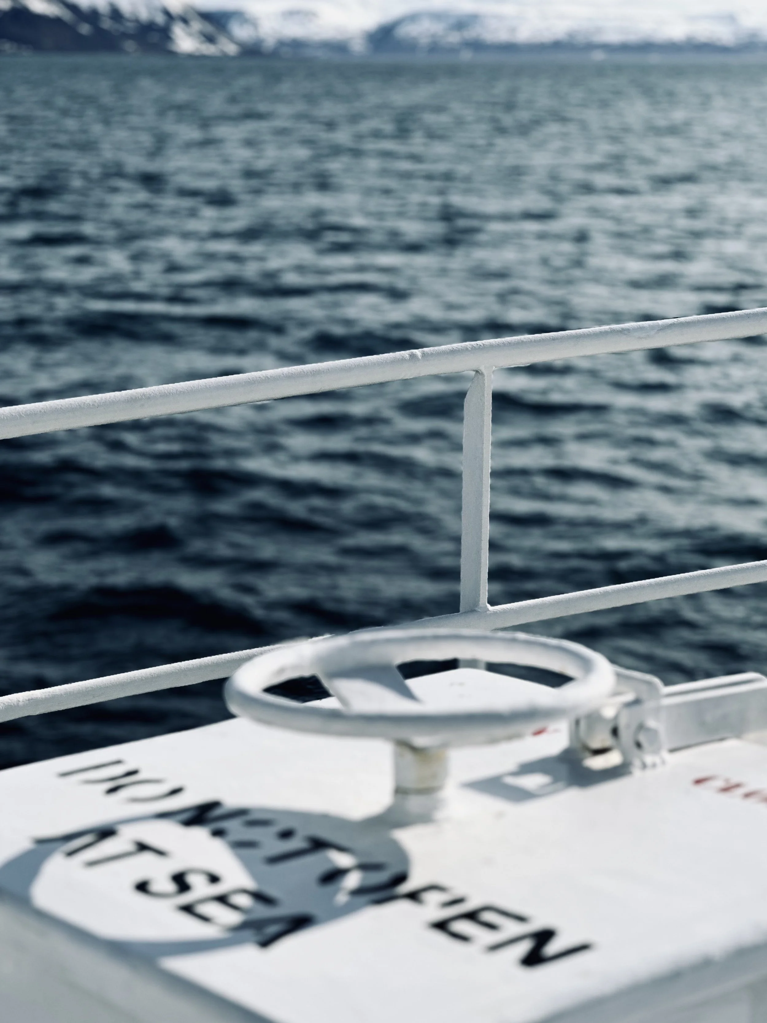 View of the ocean from a boat with a white railing and a bow cleat in the foreground. Mountains are visible in the distance.