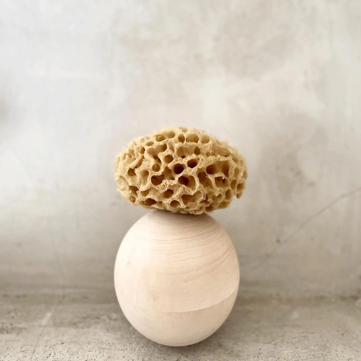 A beige textured sponge sits atop a small, smooth, round white object on a gray surface with a plain background