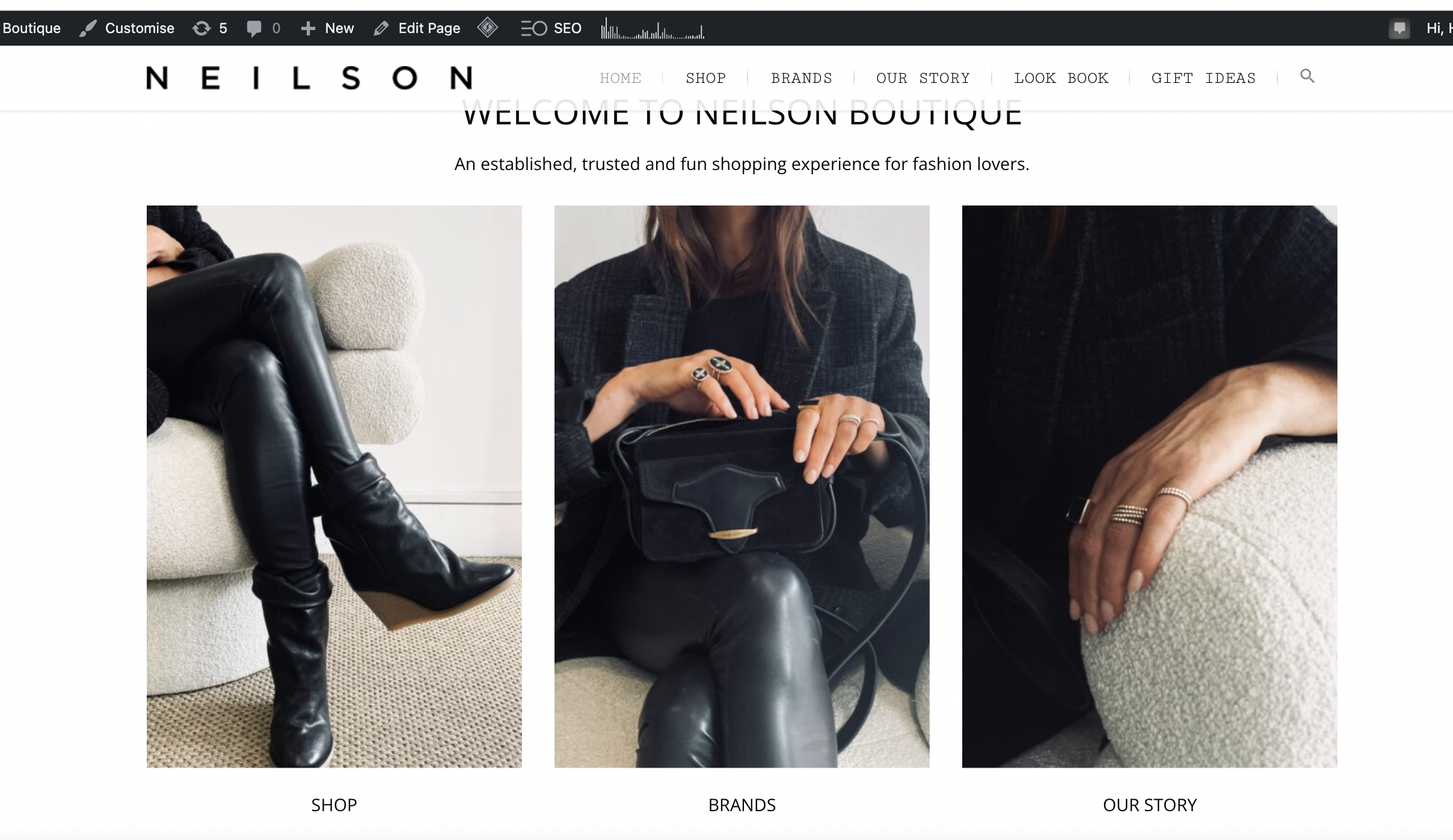 Webpage of Neilson Boutique with sections labeled Shop, Brands, Our Story, Look Book, Gift Ideas. Shows three images of a woman wearing black leather pants and boots, holding a black handbag, and showcasing jewelry.