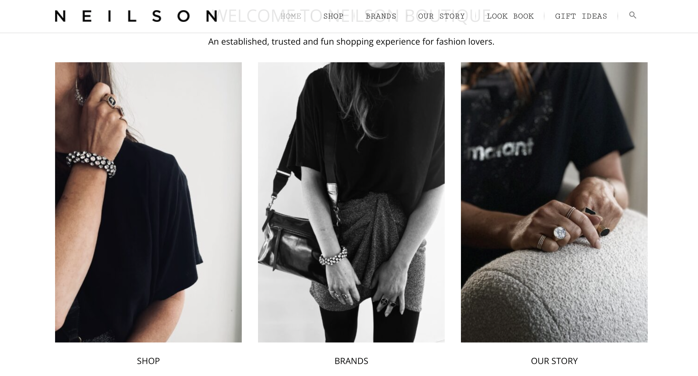 Fashion website homepage featuring jewelry and accessories for women, with sections for shop, brands, story, look book, and gift ideas.