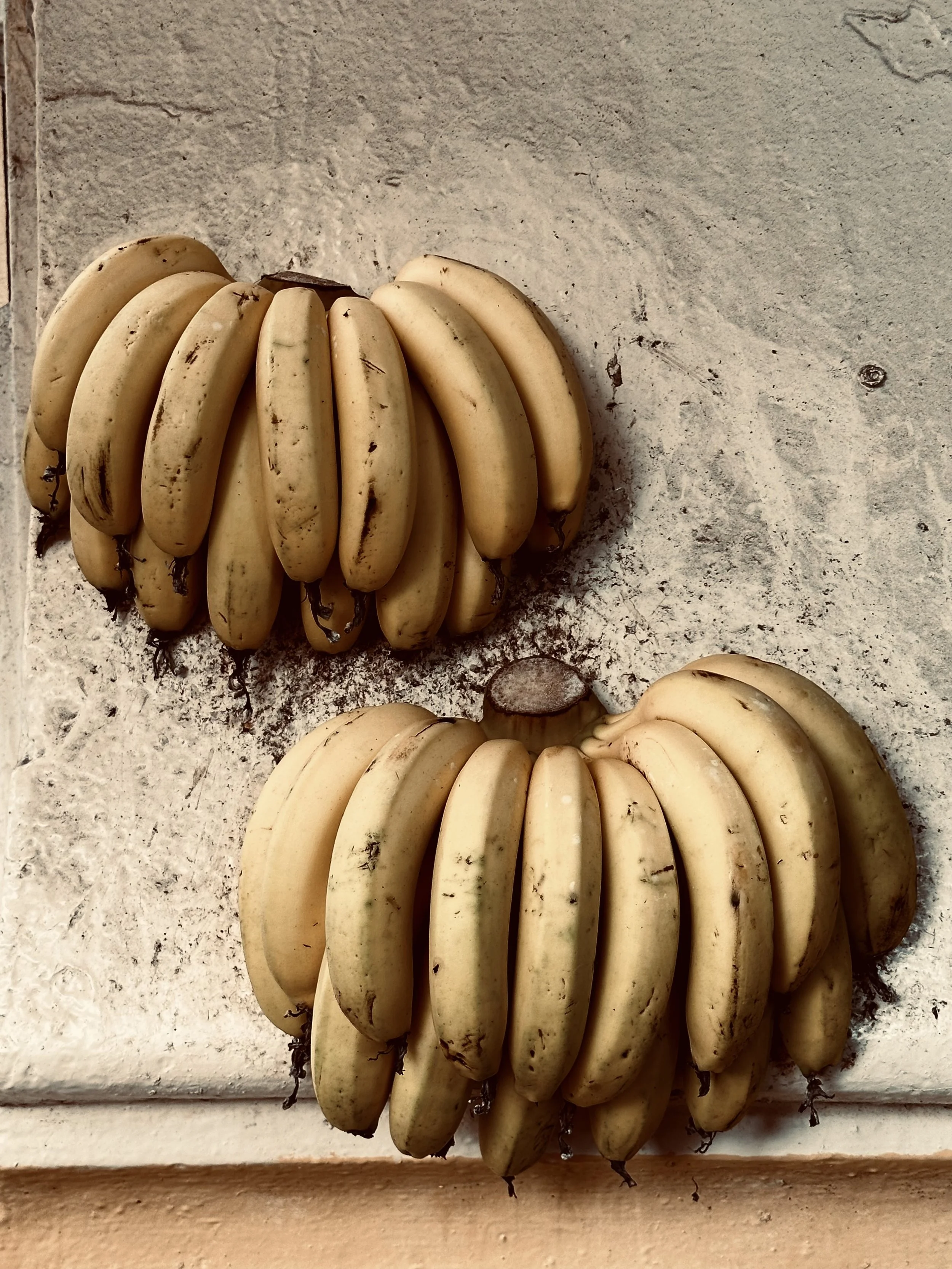 Two bunches of unripe bananas resting on a rough surface.