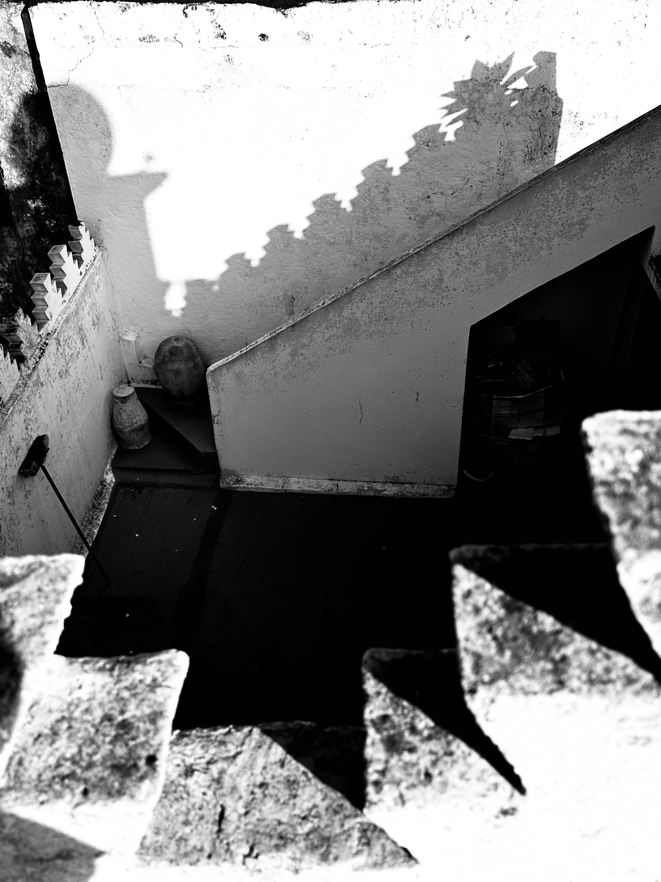 Black and white aerial photo of a rooftop corner with a shadow of a plant cast on a textured wall, and a small brick ledge with objects on it, including a large round object and two smaller vessels.