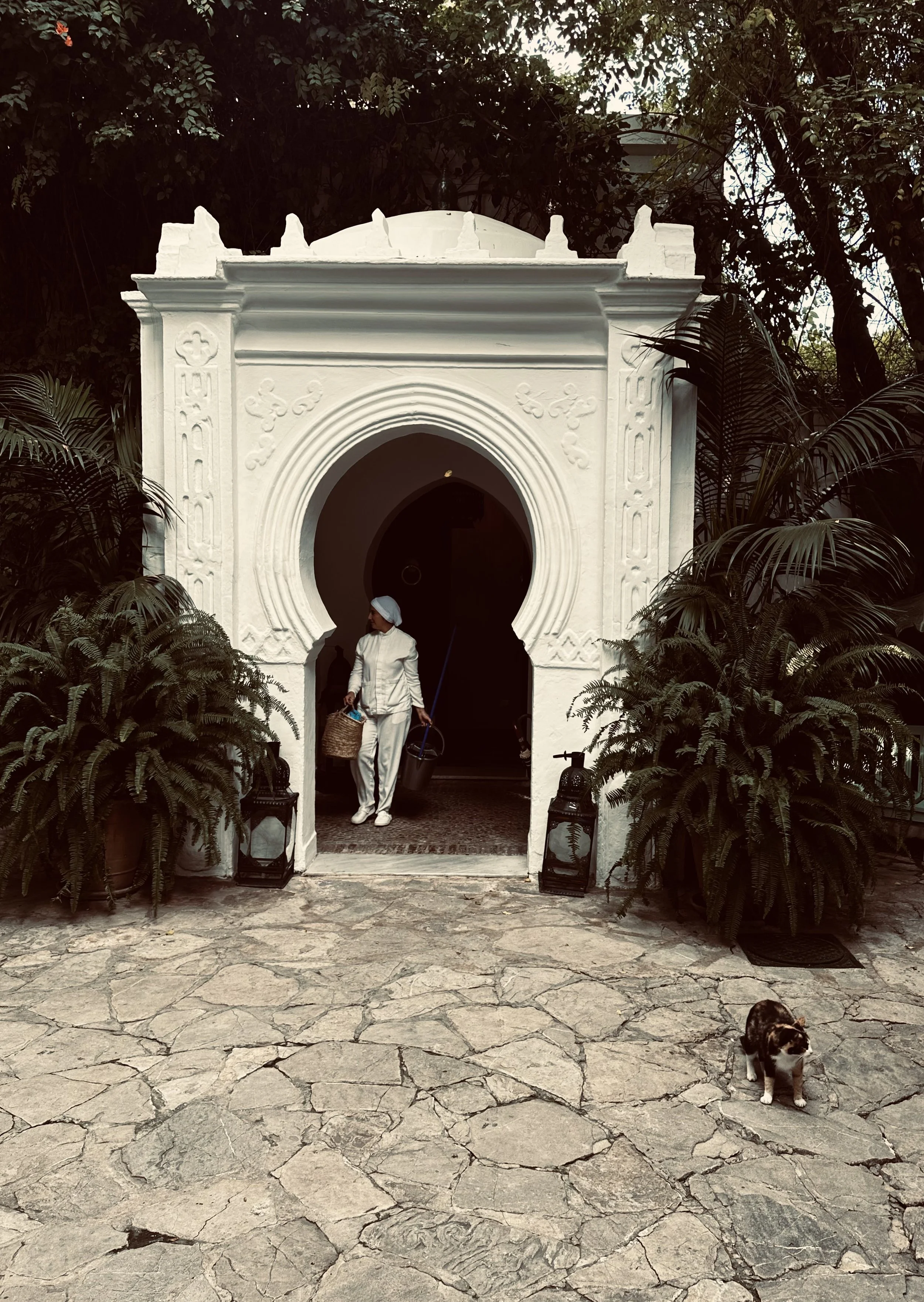 A person dressed in white walking out of a white ornate archway, carrying a basket and a bucket, with plants and trees surrounding the entrance and a small dog sitting on the stone pavement outside.