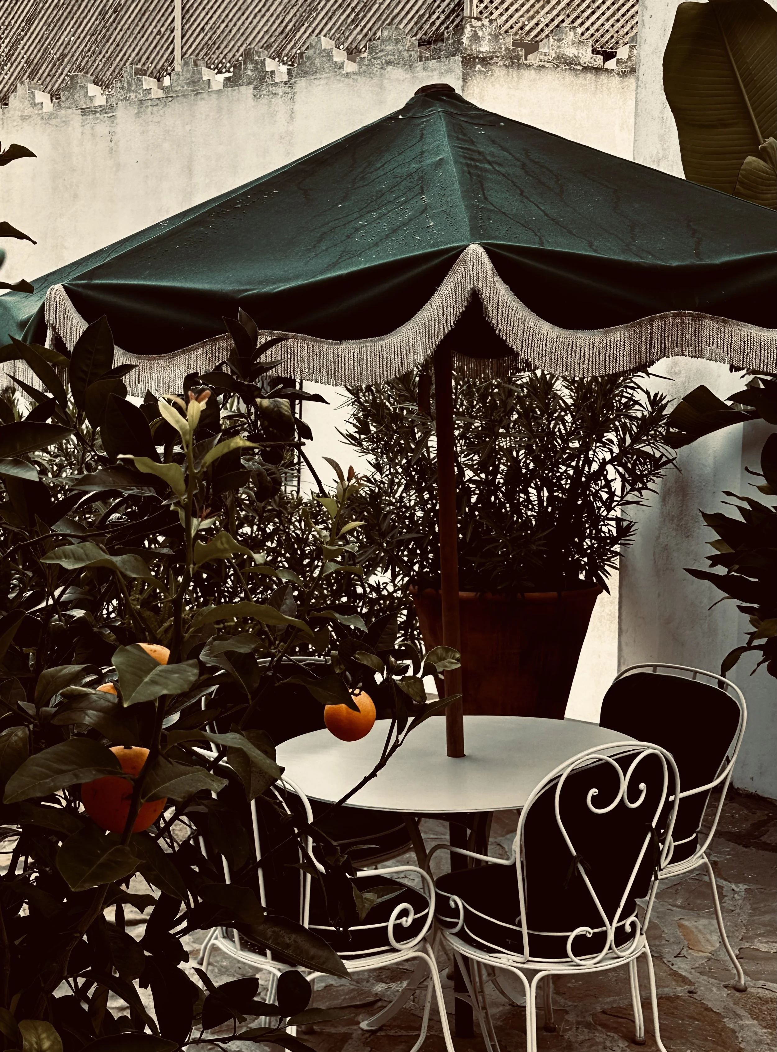 Outdoor patio scene with a white round table, black and white metal chairs, large green umbrella with fringe trim, and potted plants and orange trees surrounding the area.