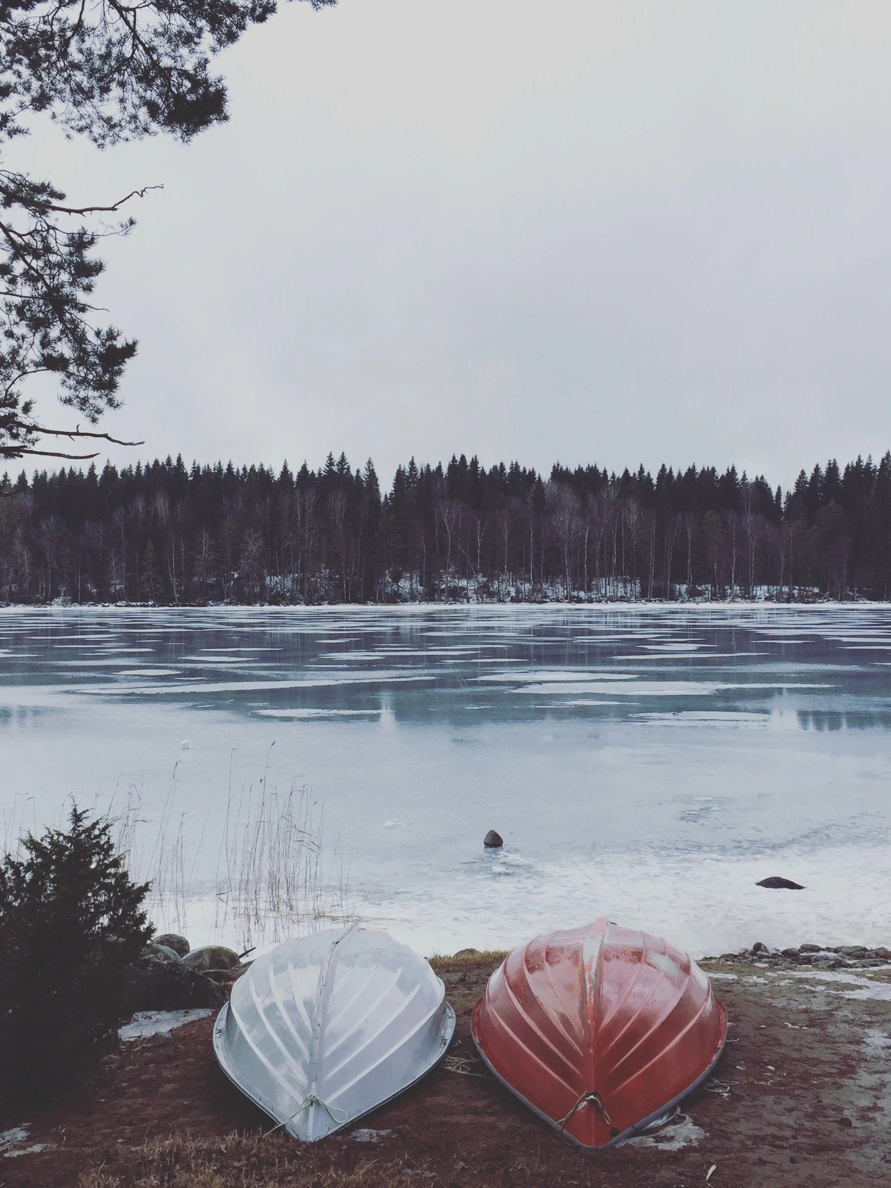 Two boats, one white and one red, upside down on a muddy shore near a frozen lake, with a forested area in the background and overcast sky.