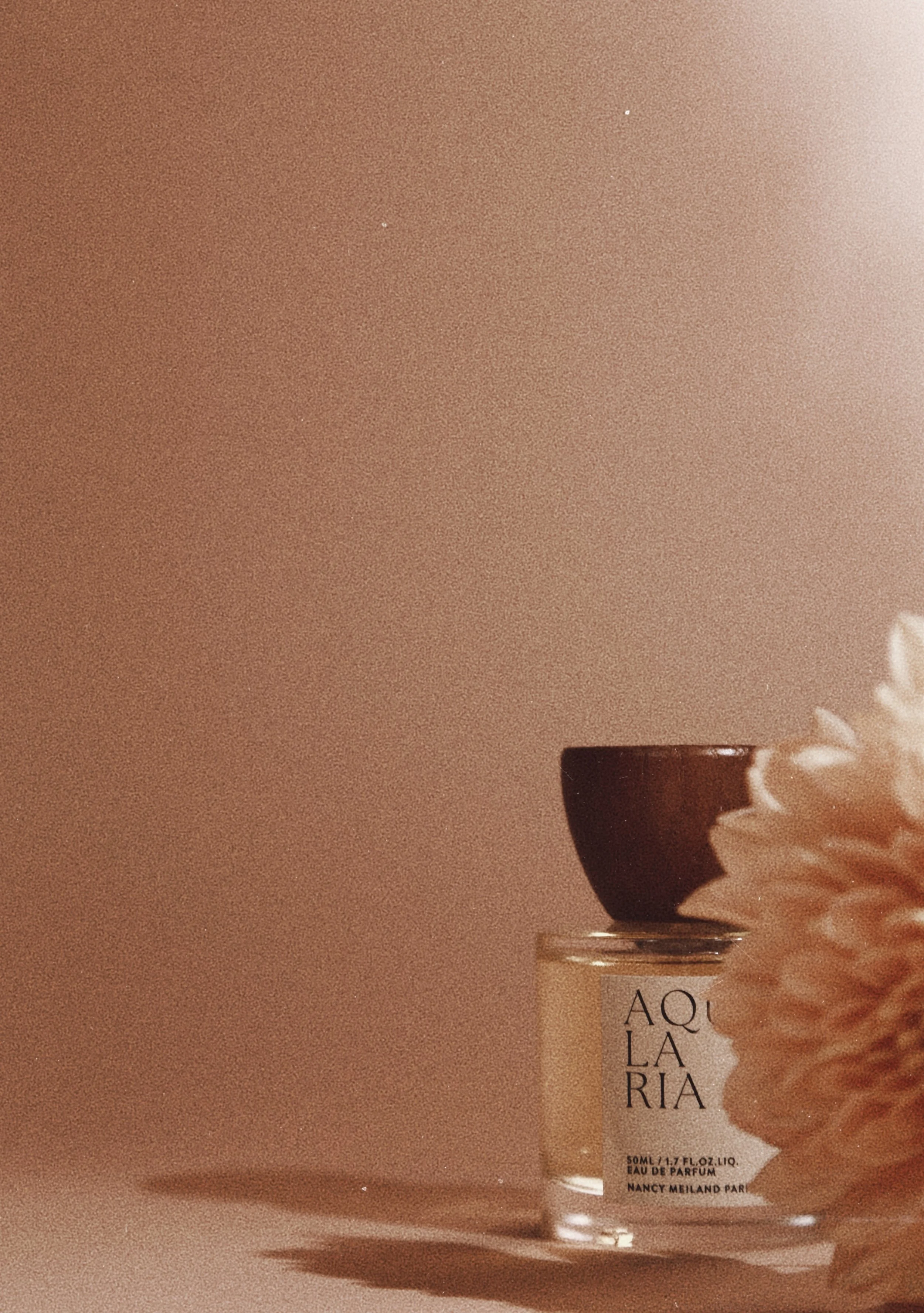 A perfume bottle labeled 'AQUARIA' and a flower in front of a plain, warm-colored background.
