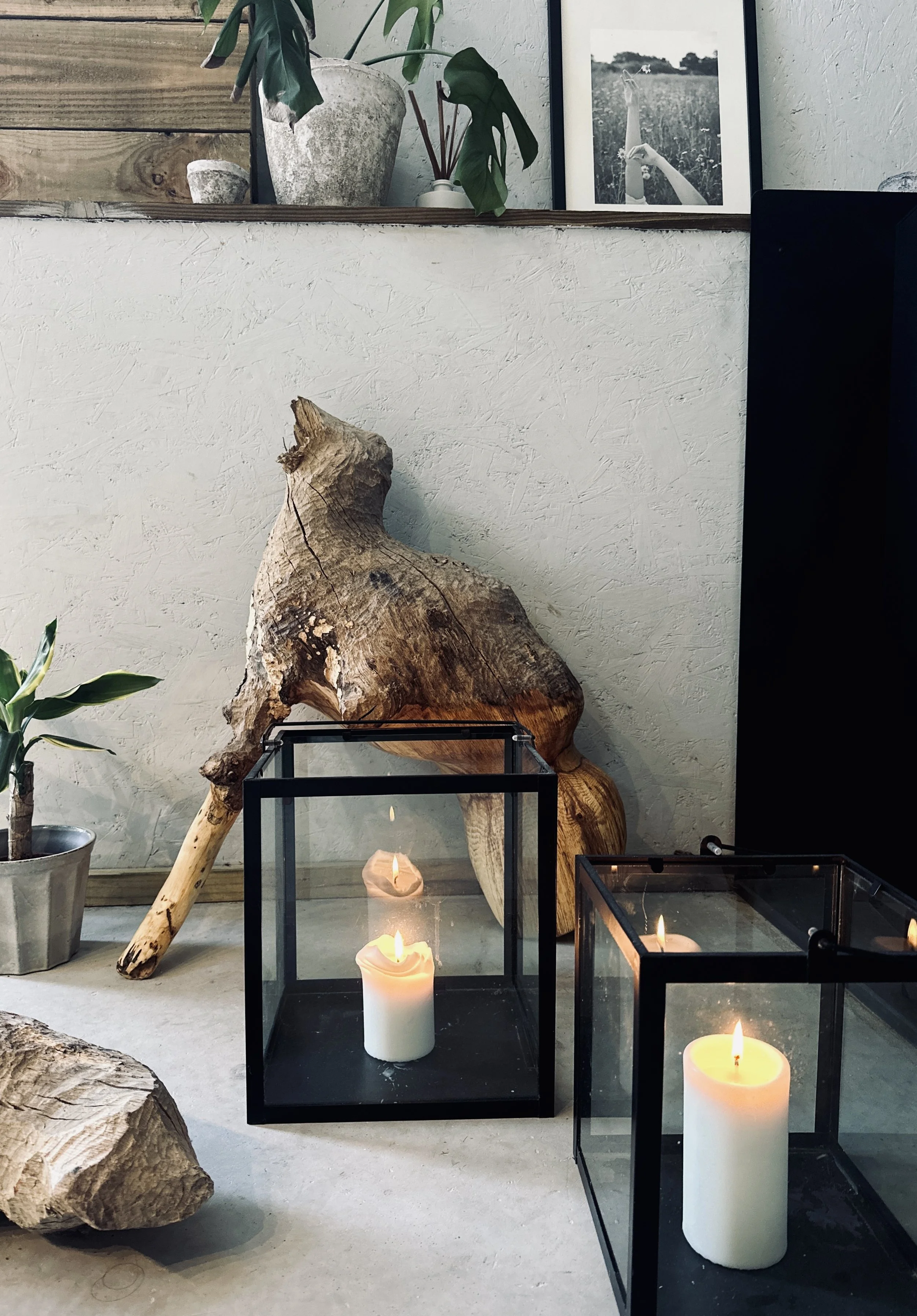 Decorative display with driftwood, glass candle lanterns with white candles, potted plant, framed black-and-white artwork, and shelves with plants and decor.