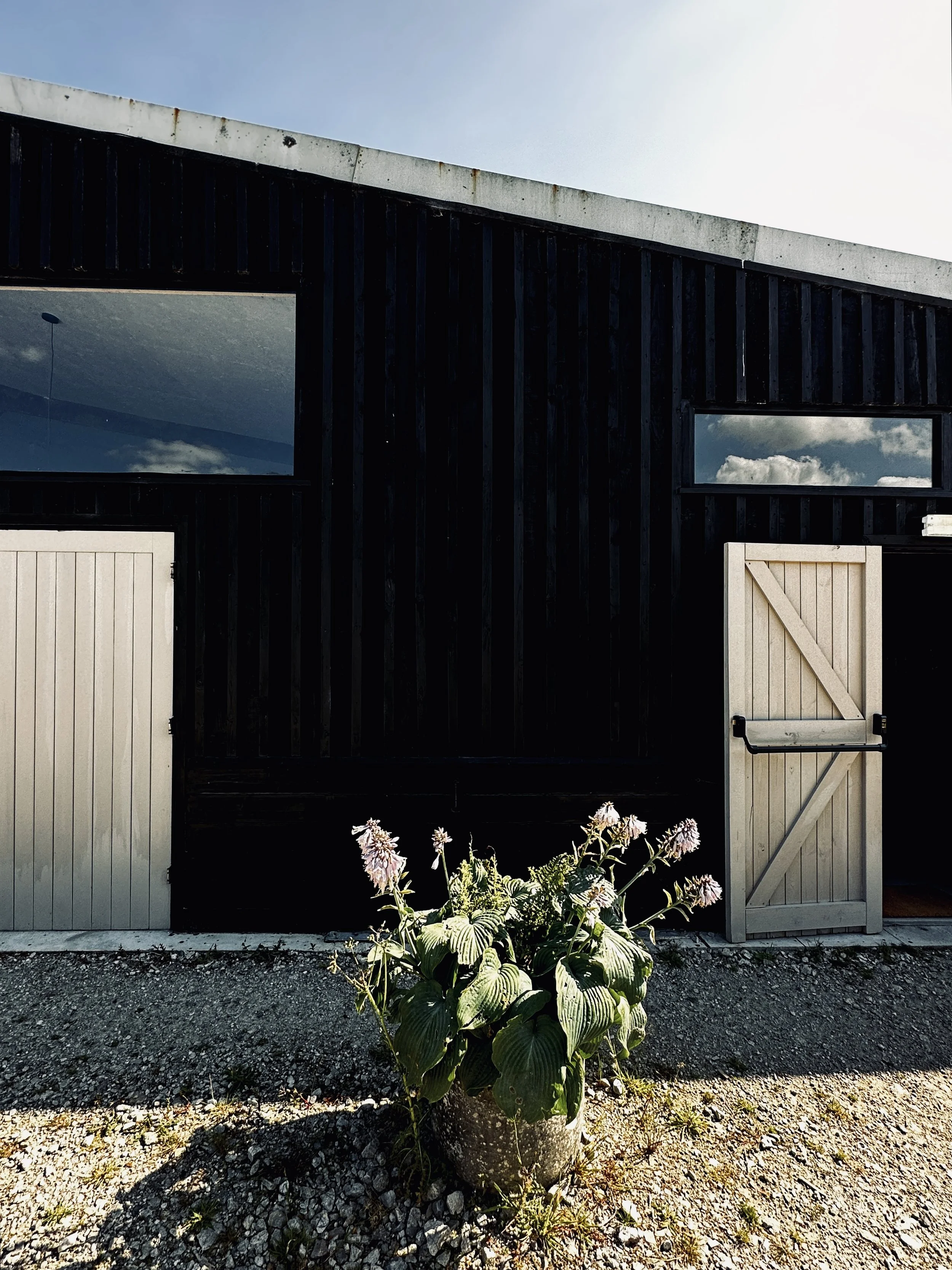 A black wooden building with two small windows and a white door, with a potted plant with purple flowers in front, outdoors under a partly cloudy sky.