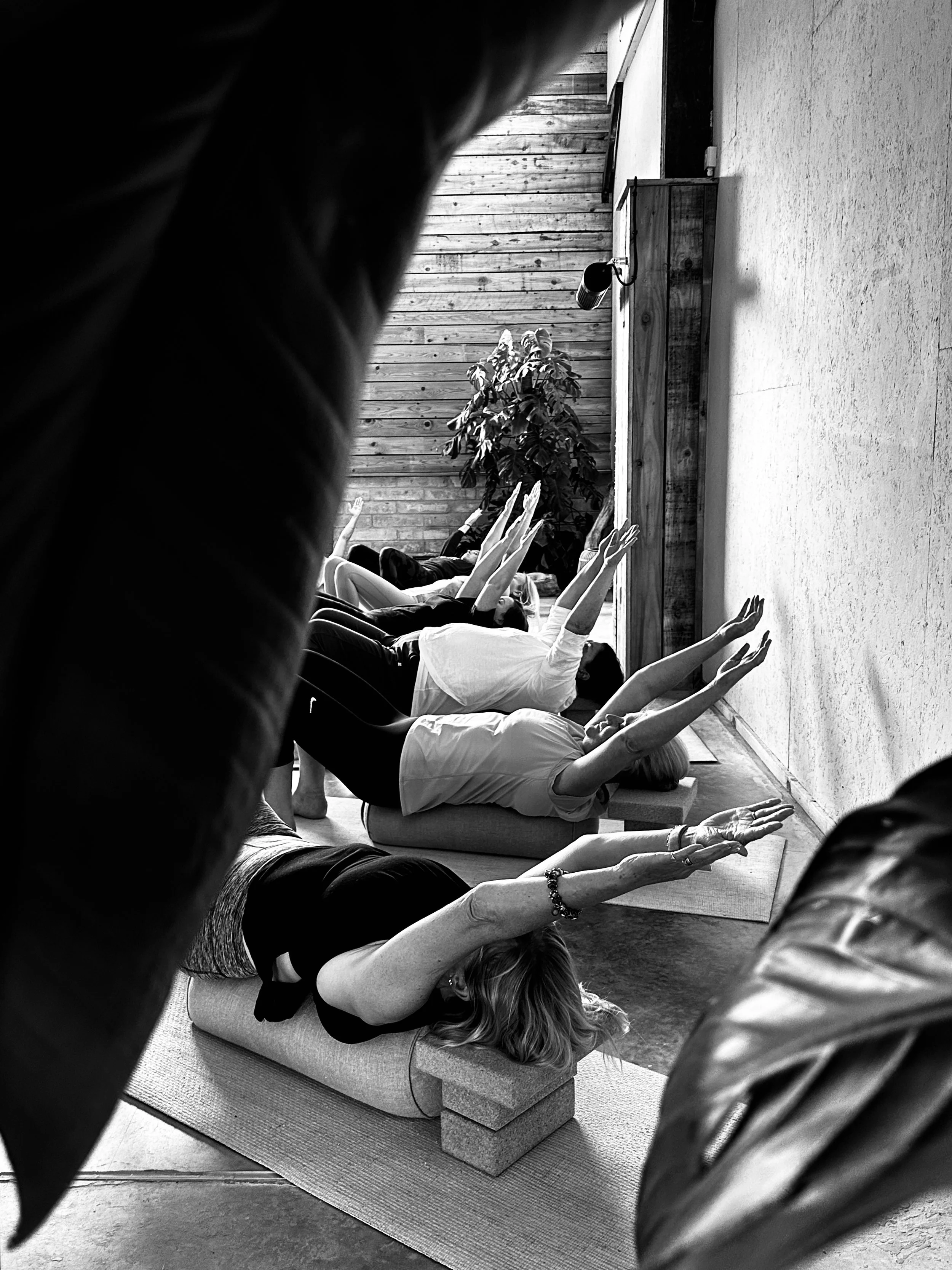 Group of people practicing yoga in a studio, lying on mats with arms extended upward, viewed through large leaves and framed by a person's arm in the foreground.