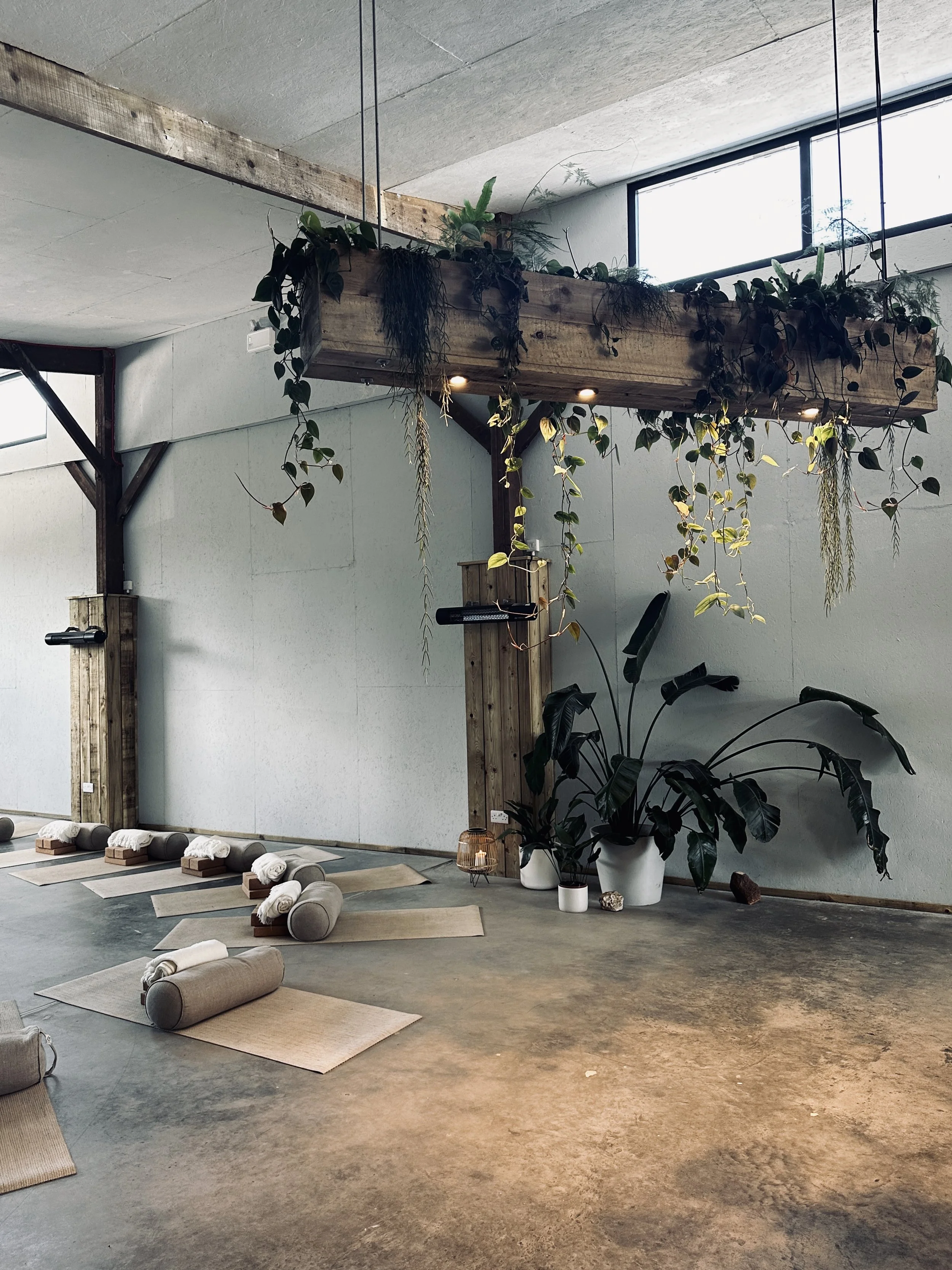Yoga studio with mats, bolsters, and towels arranged on the floor, large potted plants, and a hanging wooden planter with greenery above.